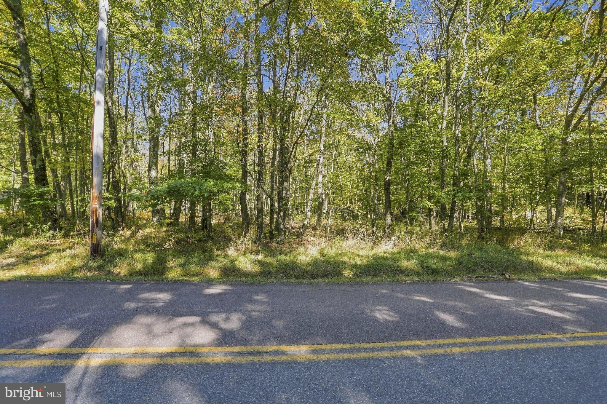 .94 ACRES MOSSER
