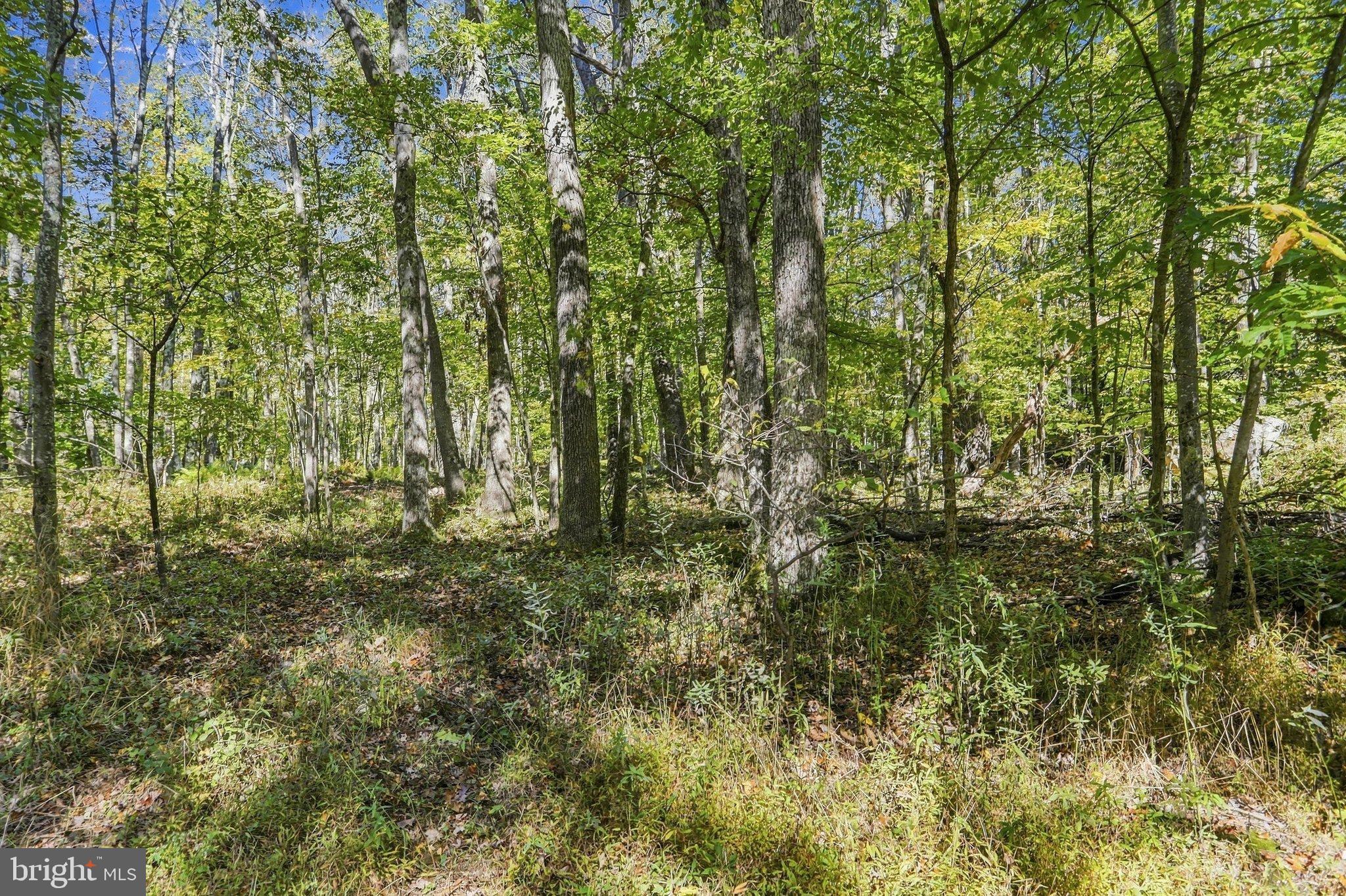 .94 ACRES MOSSER