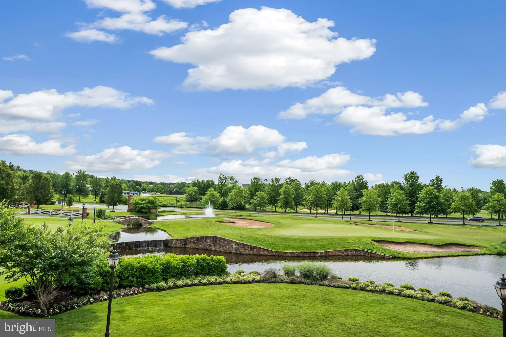 REGENCY AT DOMINION VALLEY - Residential