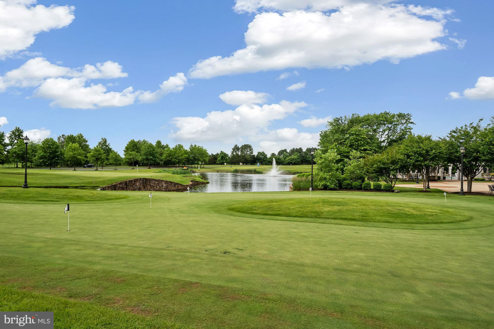 REGENCY AT DOMINION VALLEY - Residential