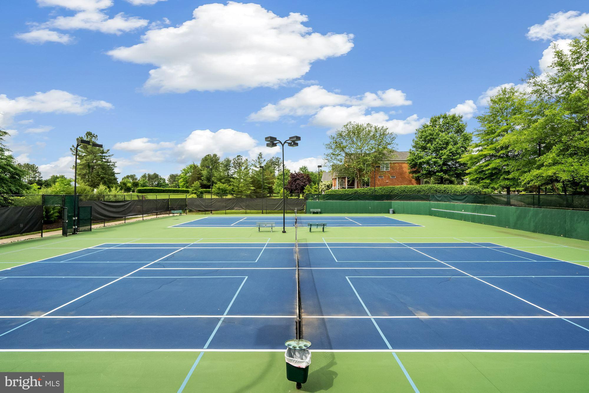 REGENCY AT DOMINION VALLEY - Residential