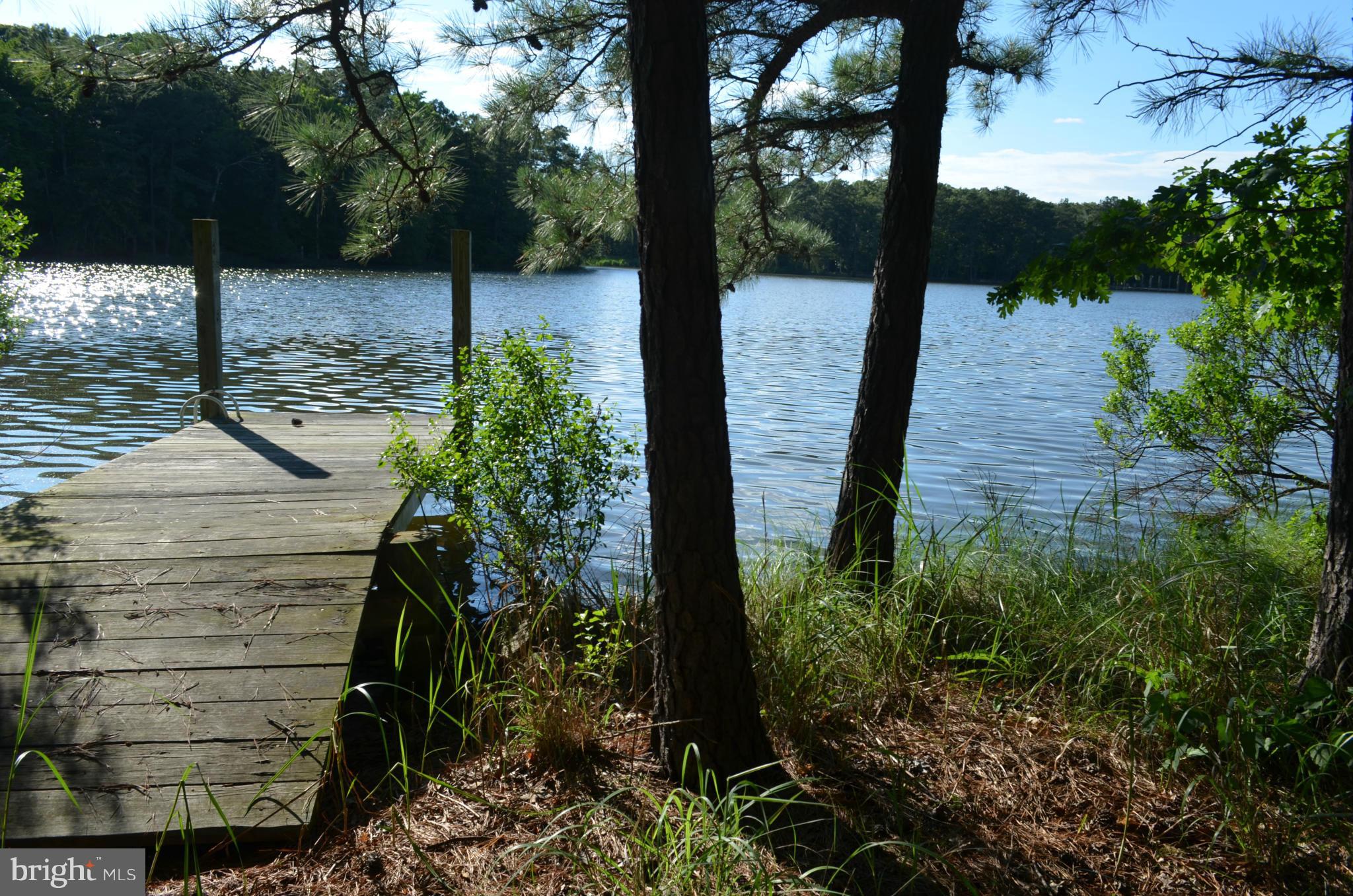 COVE CREEK CLUB - Residential