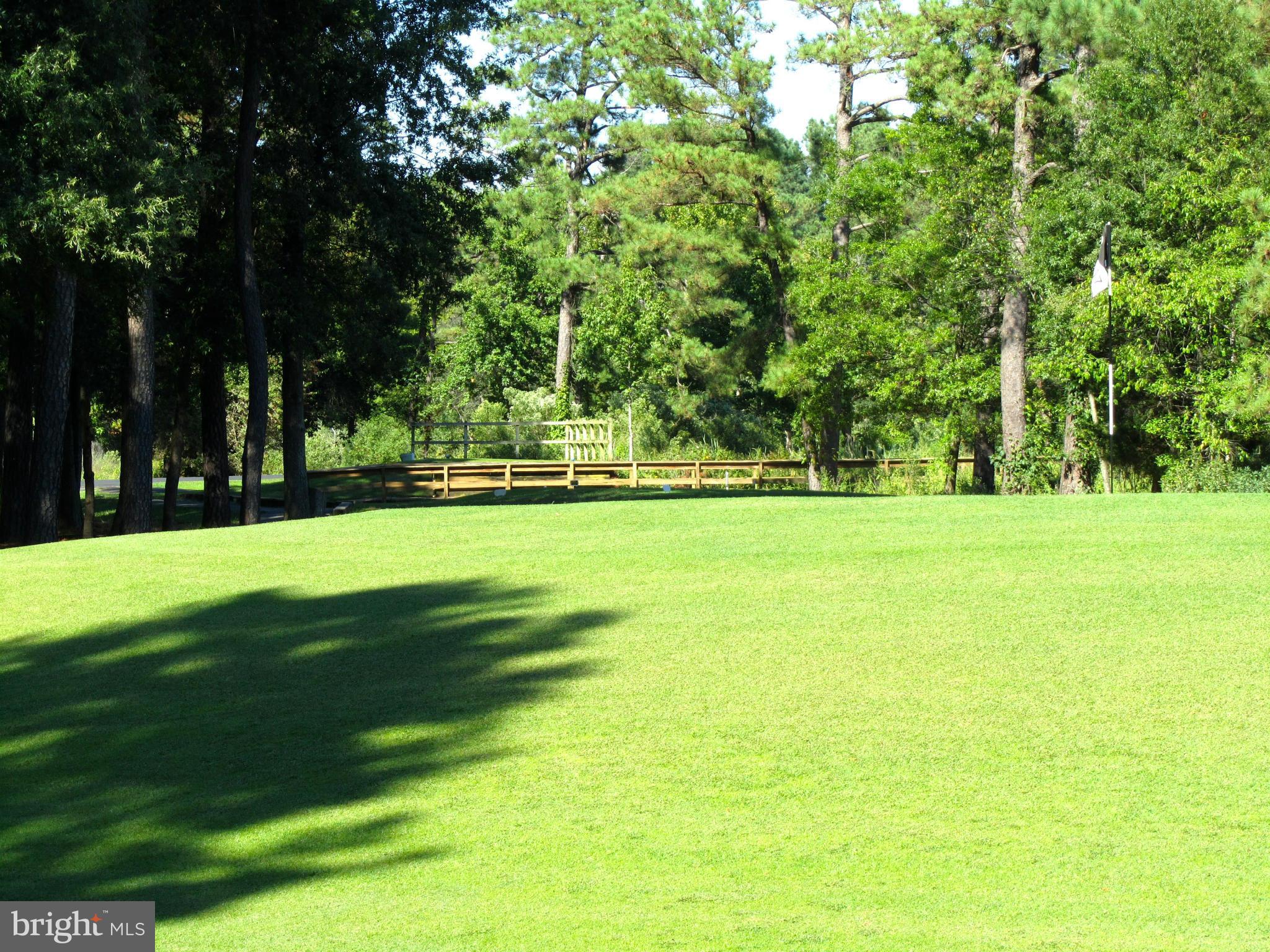 COVE CREEK CLUB - Residential