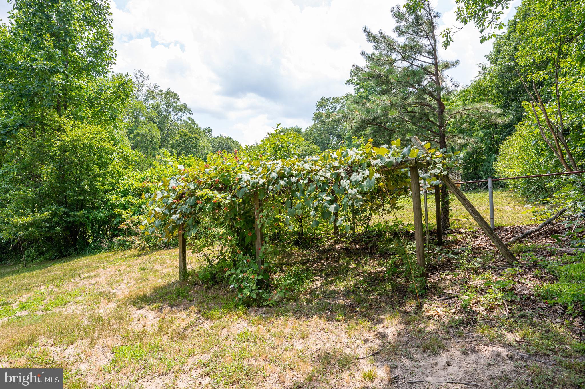 WILDE  ACRES - Residential