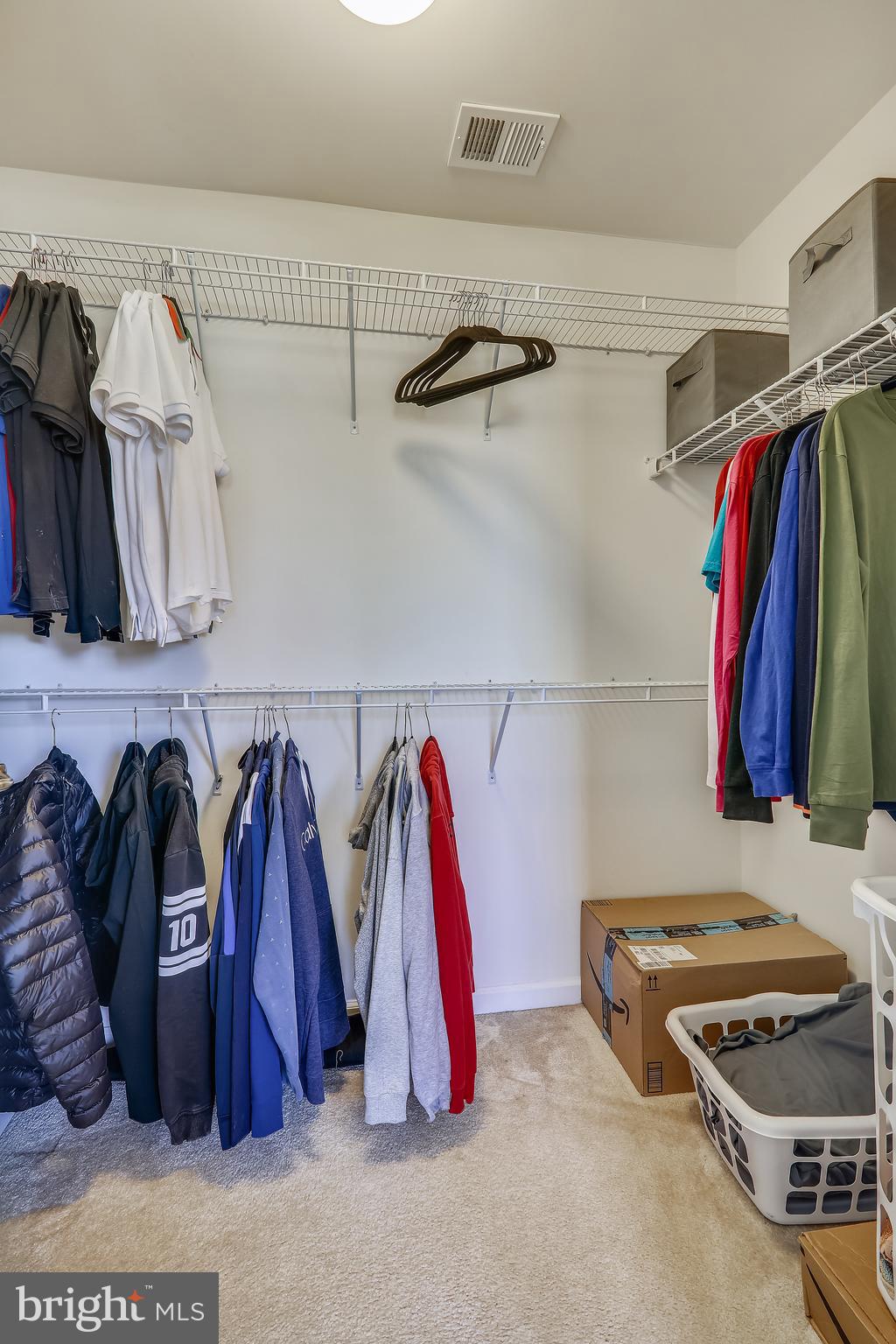 LAKEVIEW AT BRANDYWINE - Residential