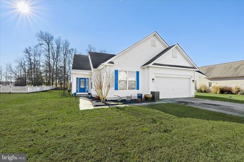 23115 PINE RUN MILLSBORO DE 19966