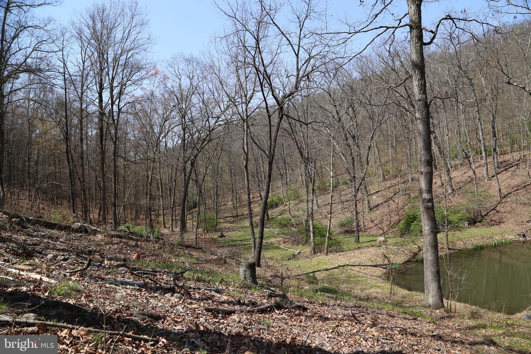 HIGH KNOB/OLD FIELDS - Residential