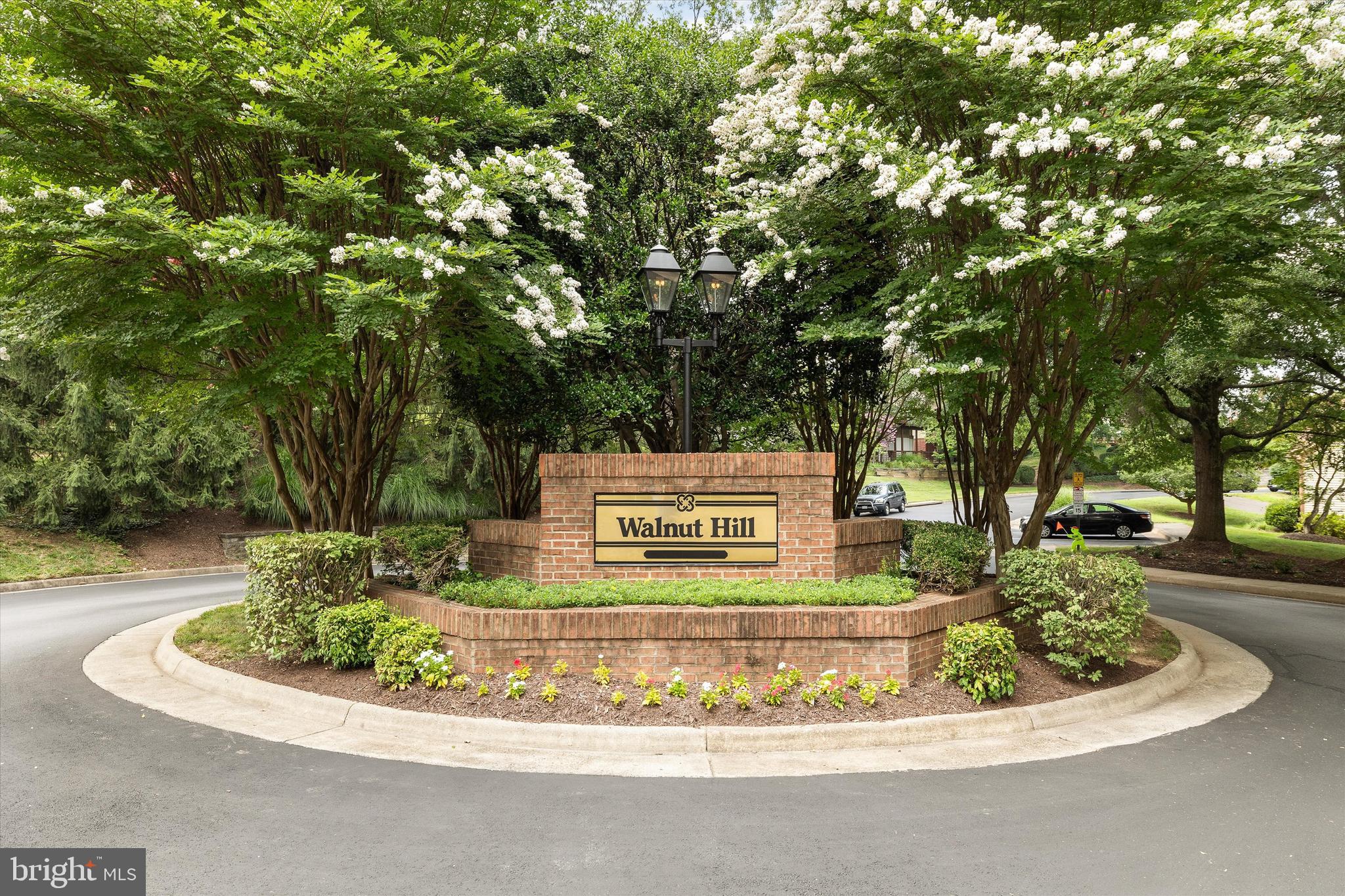 WALNUT HILL - Residential