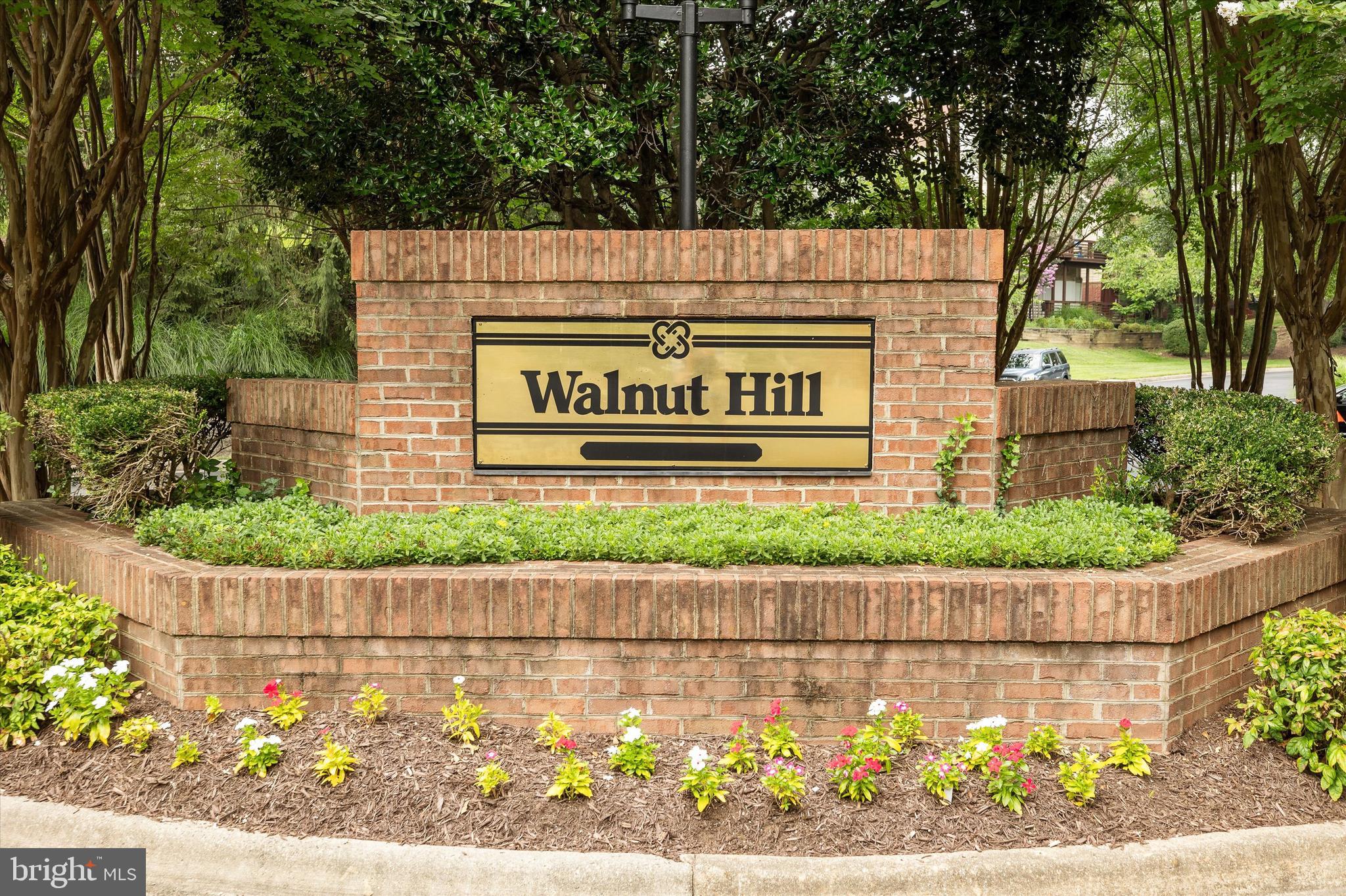WALNUT HILL - Residential