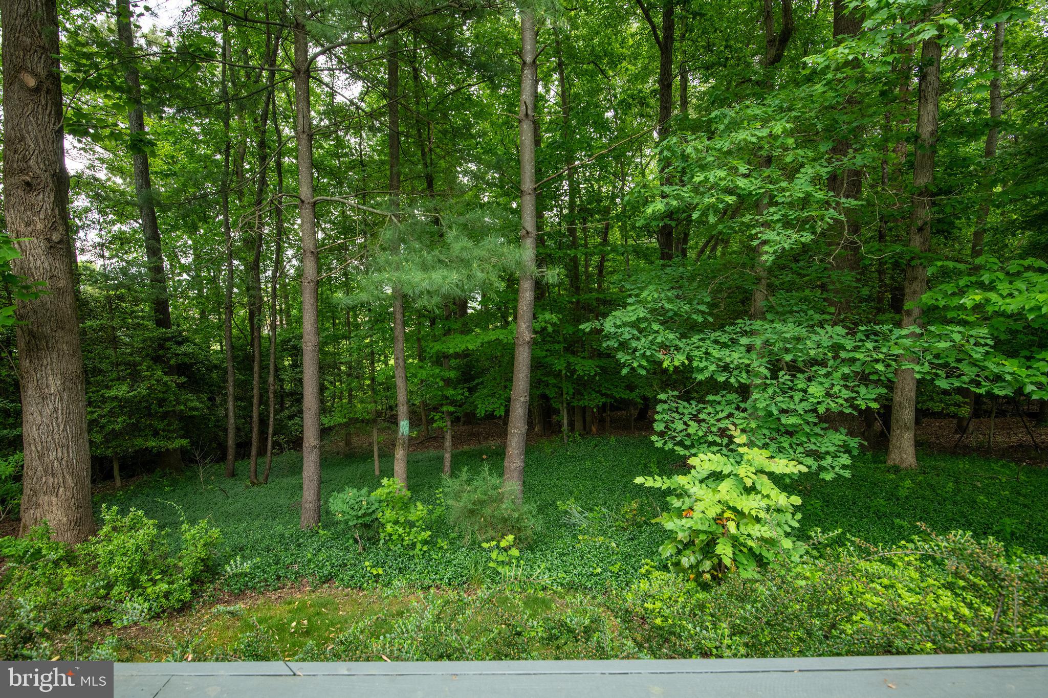 HERITAGE HARBOUR - Residential