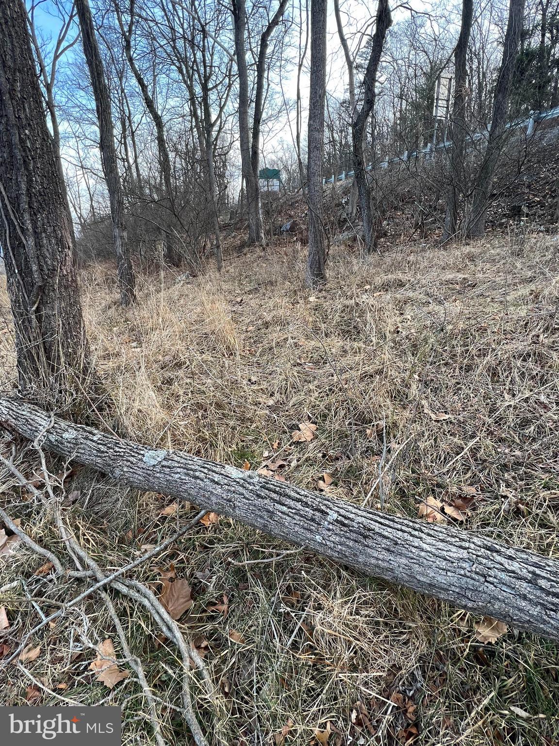 TBD HUMMINGBIRD LANE LANE LOT 1A