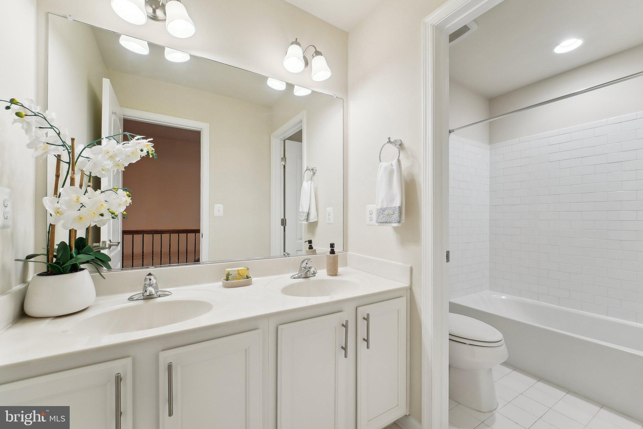 SHIPLEY MEADOWS - Residential