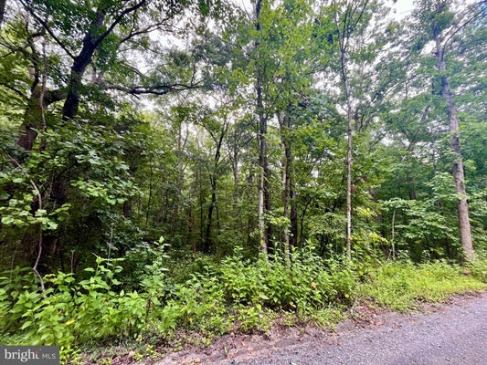 FOREST DR, LURAY, VA 22835 - Image 1da210e9cfb31f4d4b80b8c110dbfa38/1940968369