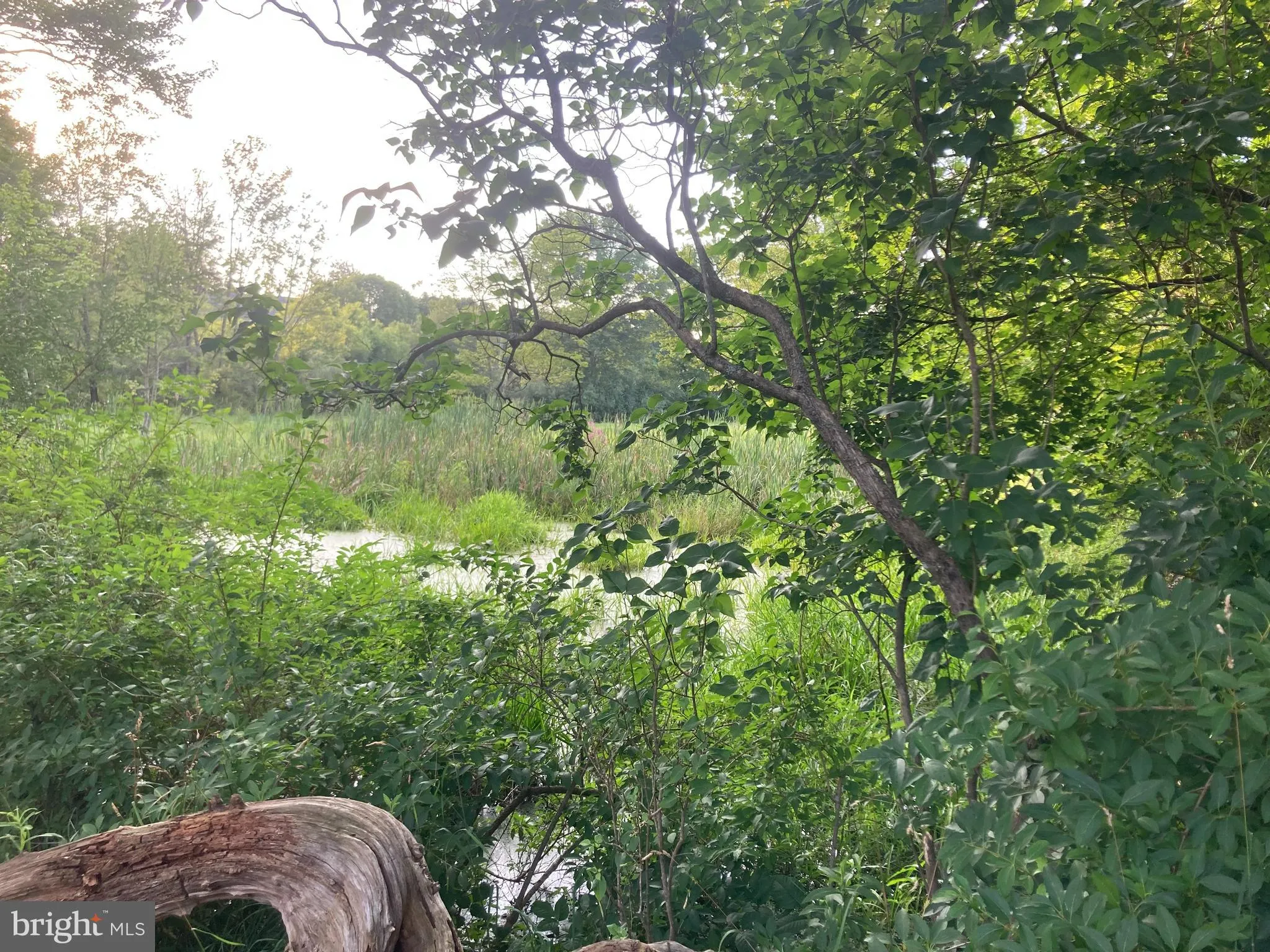 Riegelsville, Pennsylvania 18077, United States, 4 Bedrooms Bedrooms, ,2 BathroomsBathrooms,Residential,Active,169979