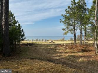 RAGGED POINT - Residential
