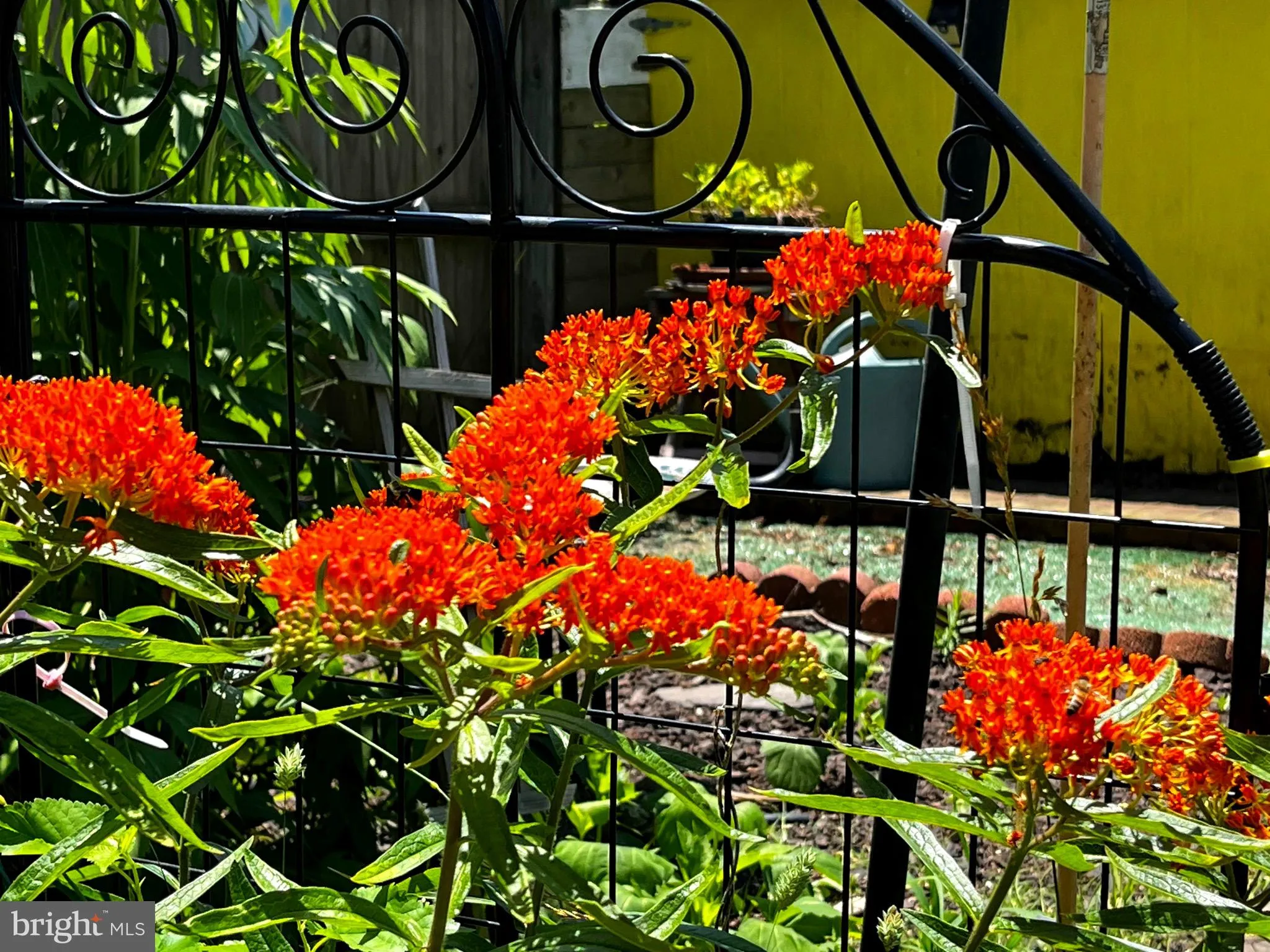 Lewes, Delaware 19958, United States, 2 Bedrooms Bedrooms, ,1 BathroomBathrooms,Residential,Active,152761