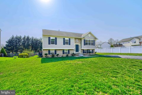 49 RIVERVIEW DRIVE PERRYVILLE MD 21903