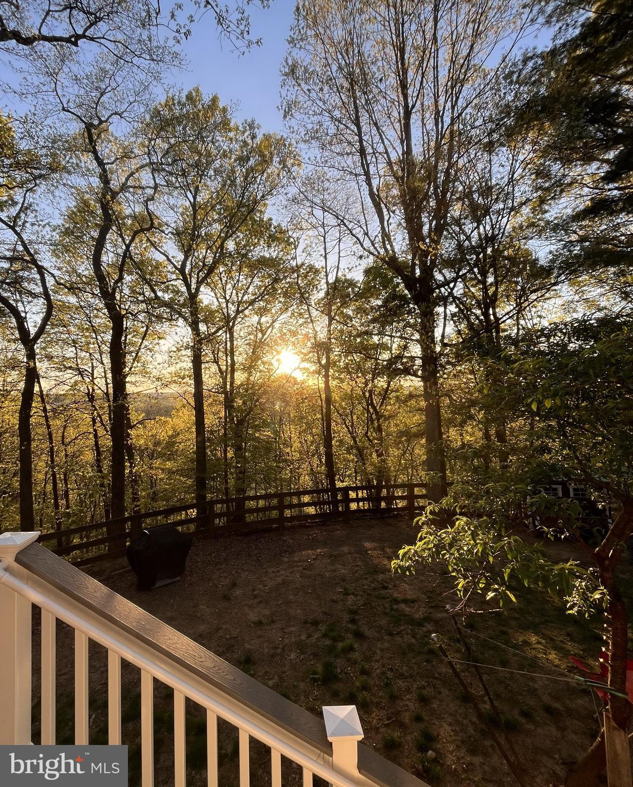 509 CEDAR LANE