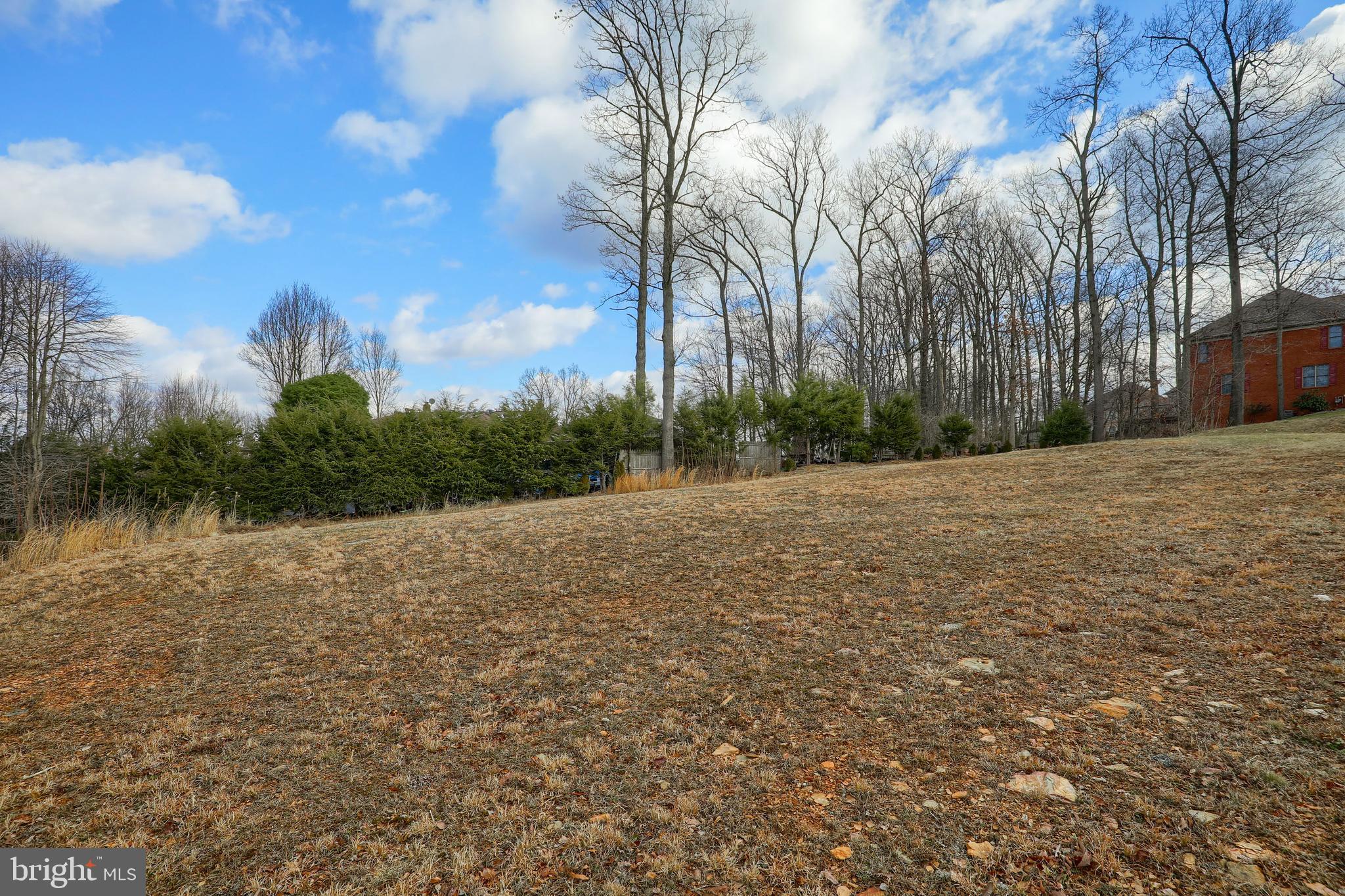 WOODLAND HEIGHTS - Land