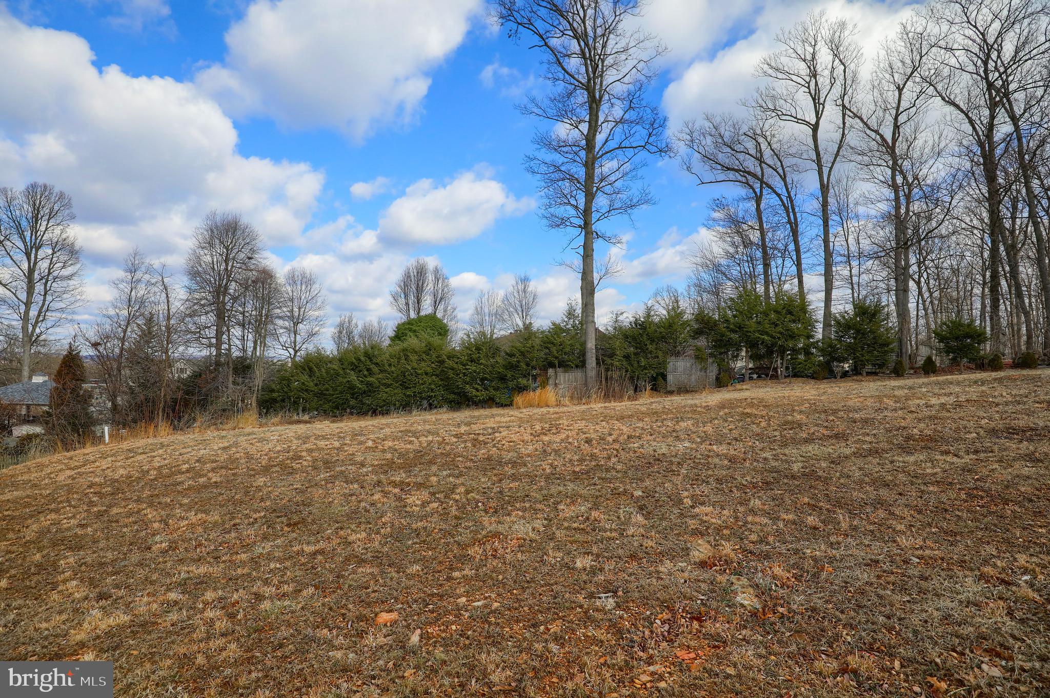 WOODLAND HEIGHTS - Land