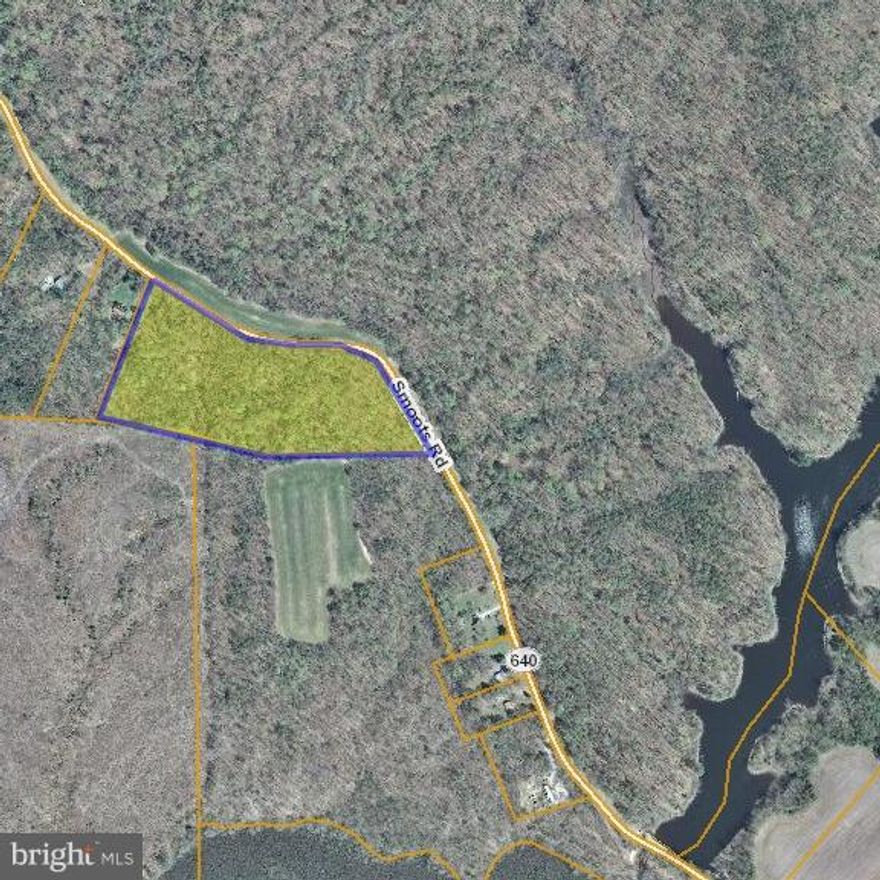 Lushly wooded 12 acre parcel adjacent to AP Hill.  Former long time hunting land. Abundance of wild life. Private and Secluded. Perfect building lot or recreation spot.Adjacent properties also for sale which total approx 52 acres. Call for more details on other parcels.