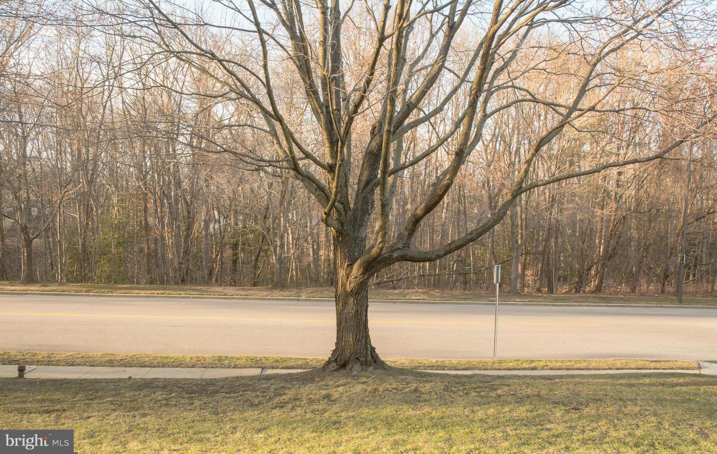 NORTH PORT CONDO - Residential Lease