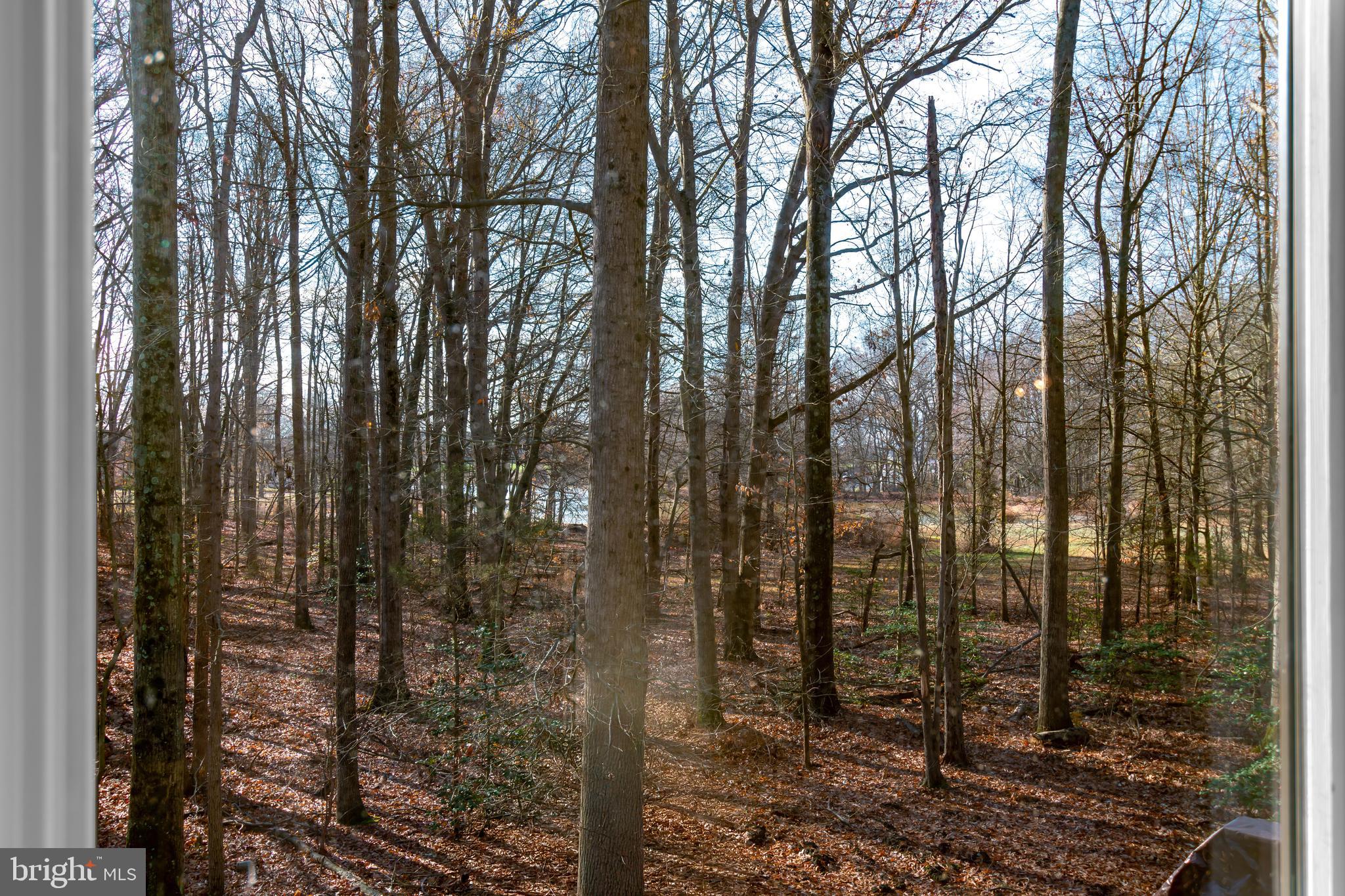 CHESAPEAKE LANDING - Residential