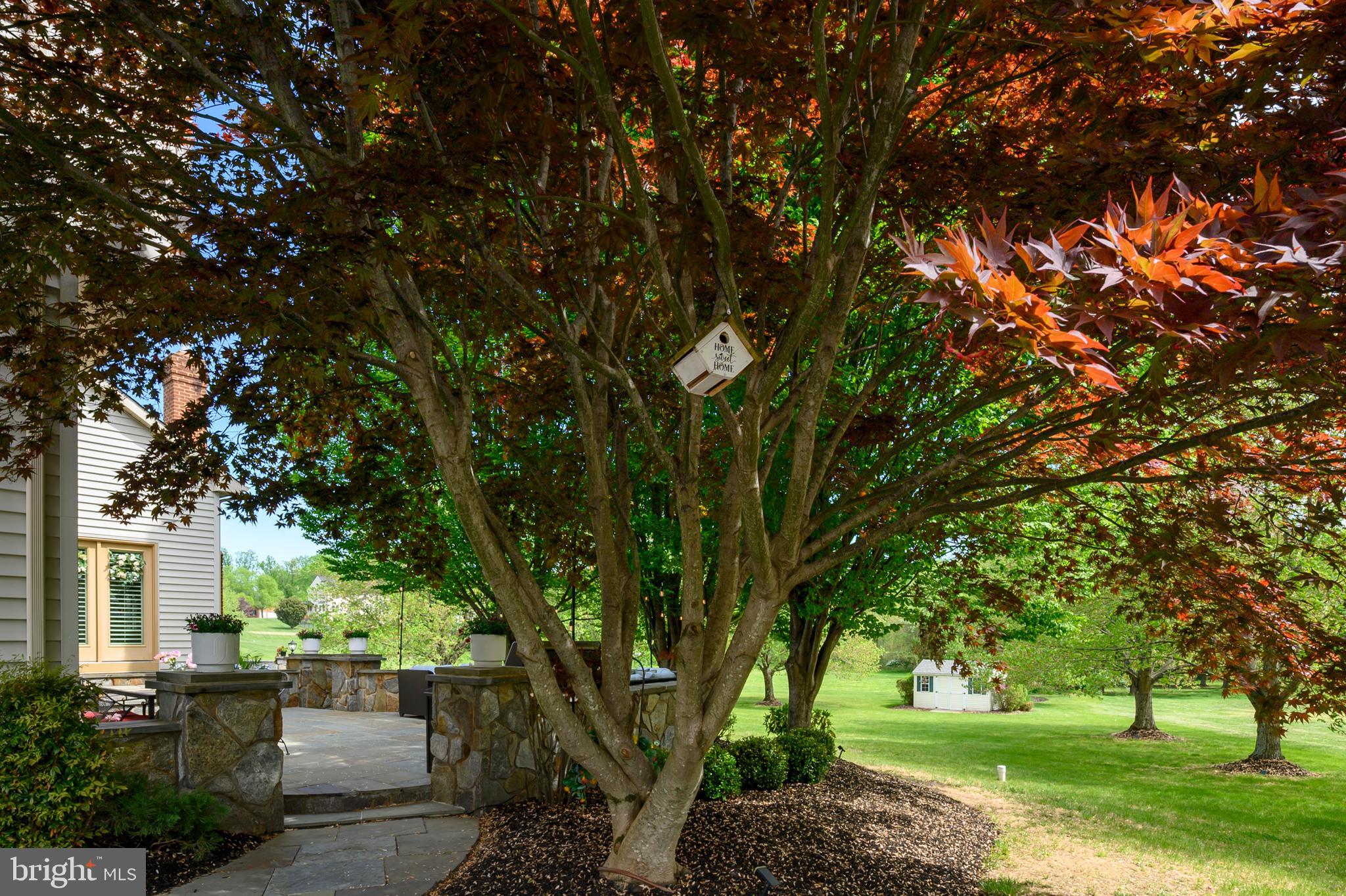 WYNNEWOOD - Residential