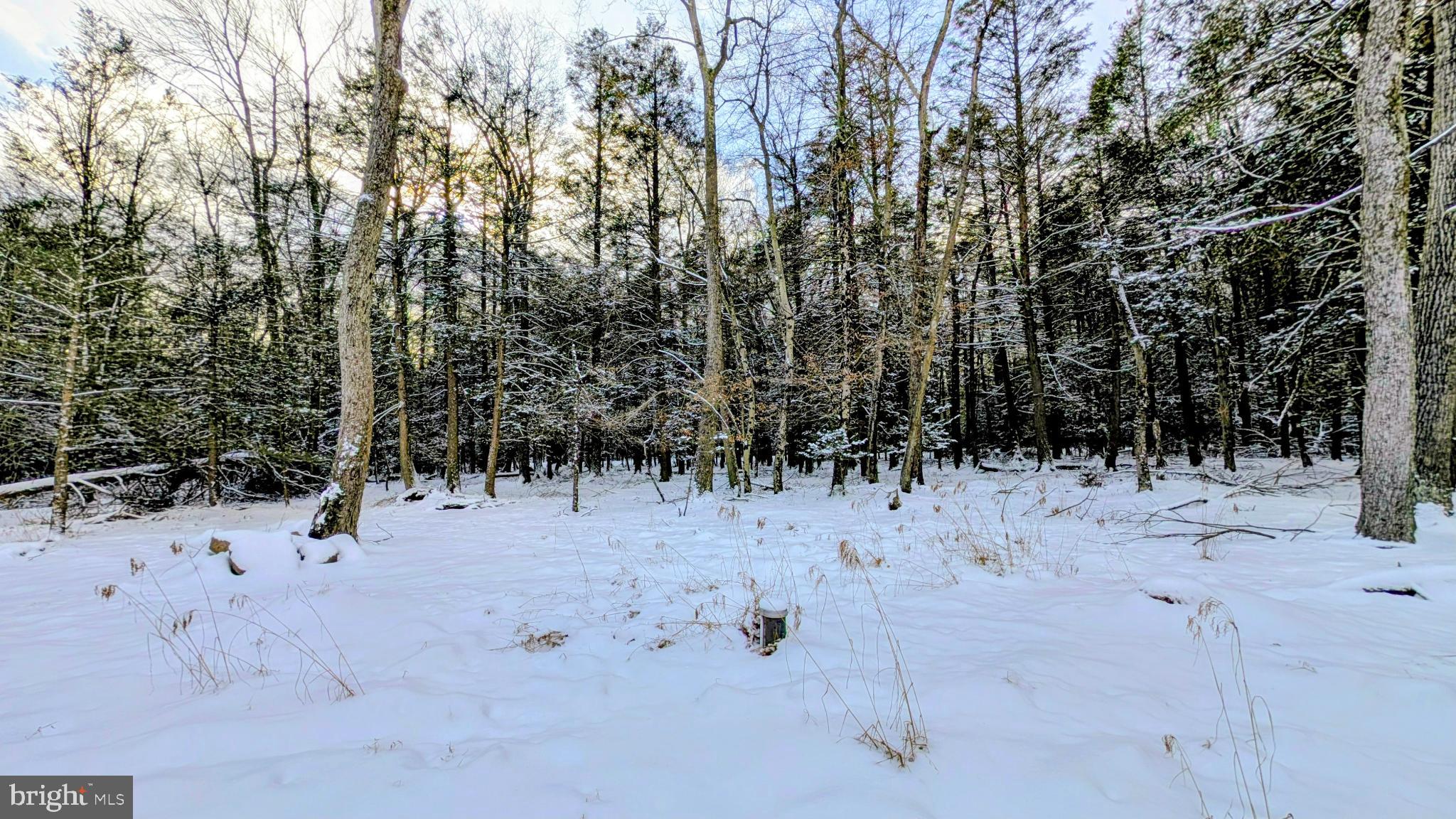 HOLIDAY POCONO - Residential