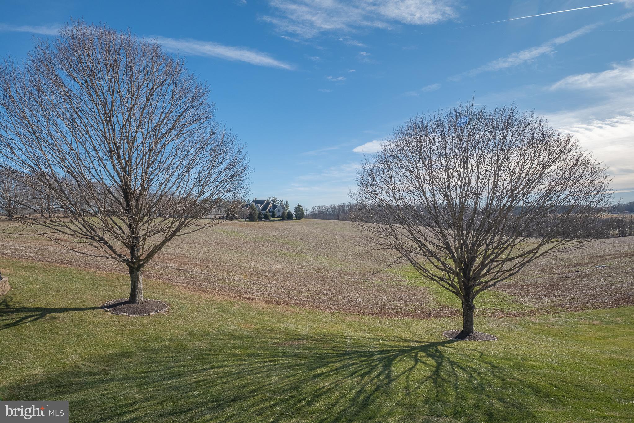 CATTAIL WOODS - Residential