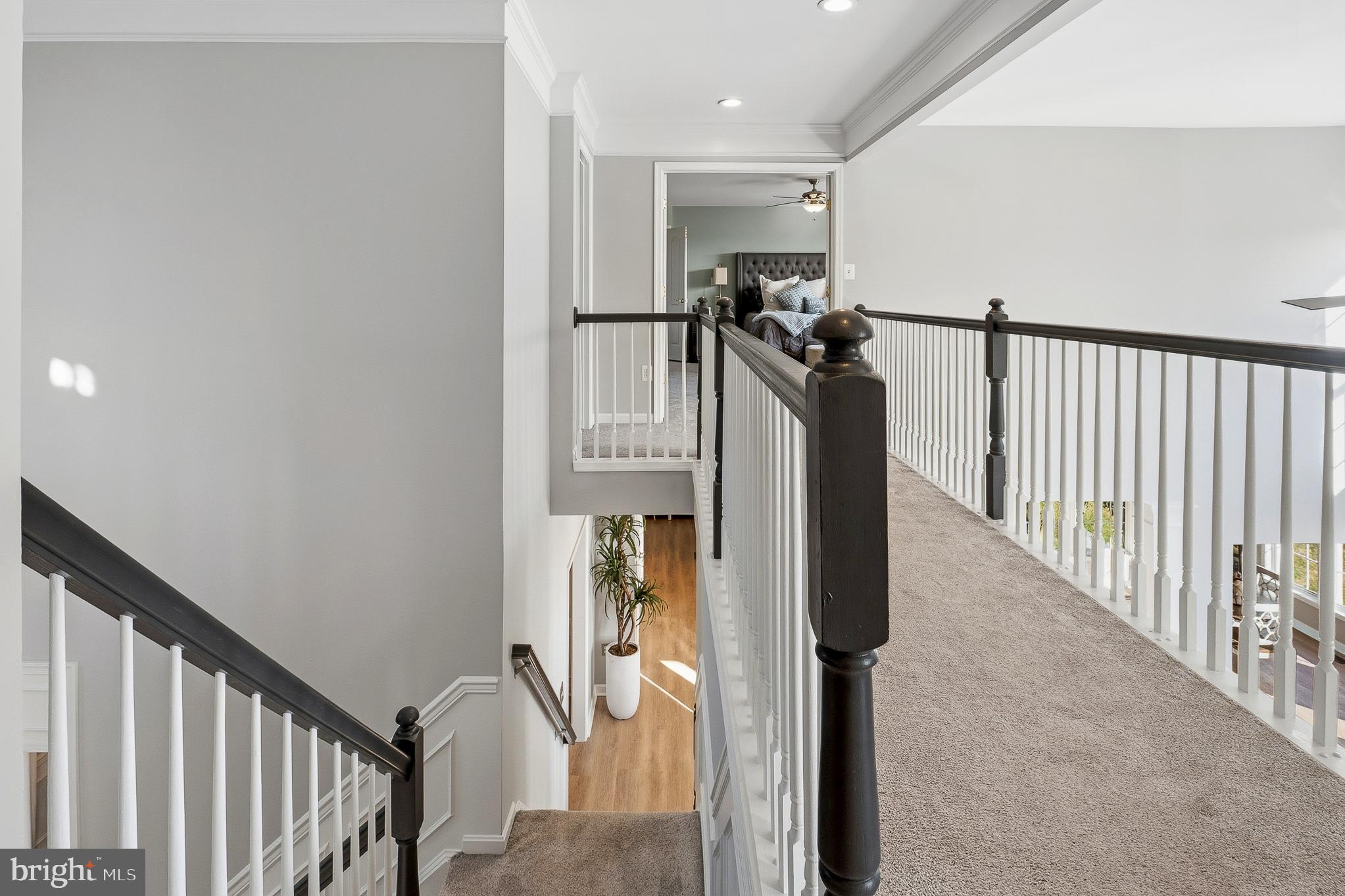 CATTAIL WOODS - Residential