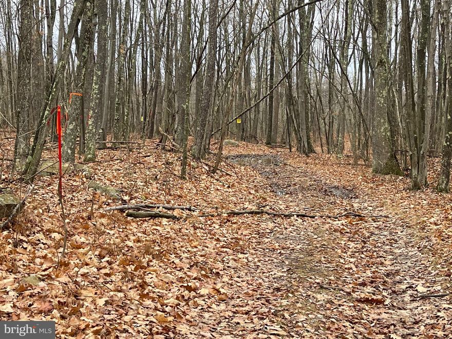 WOODED MOUNTAIN PARCEL WITH BUILDING SITES FOR SMALL CABIN OR WEEK-END RETREAT OR FULL TIM RESIDENCE. SMALL STREAM RUNS THRU CENTER OF PROPERTY. GATED ENTRANCE OFF GRAVEL ROAD. GREAT FOR HUNTING. LOW WEST VIRGINIA TAXES.