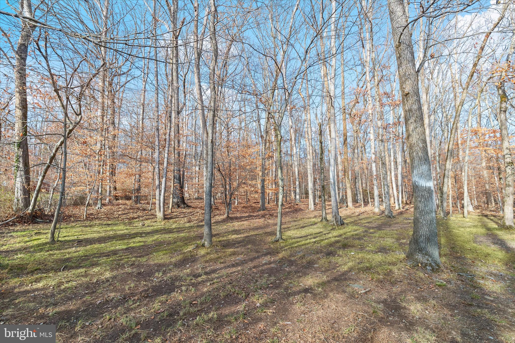 WOODS AT ROCK GLENN - Residential