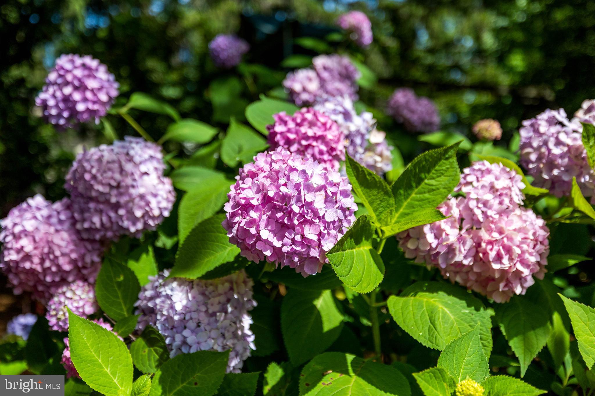 GUILFORD - Residential