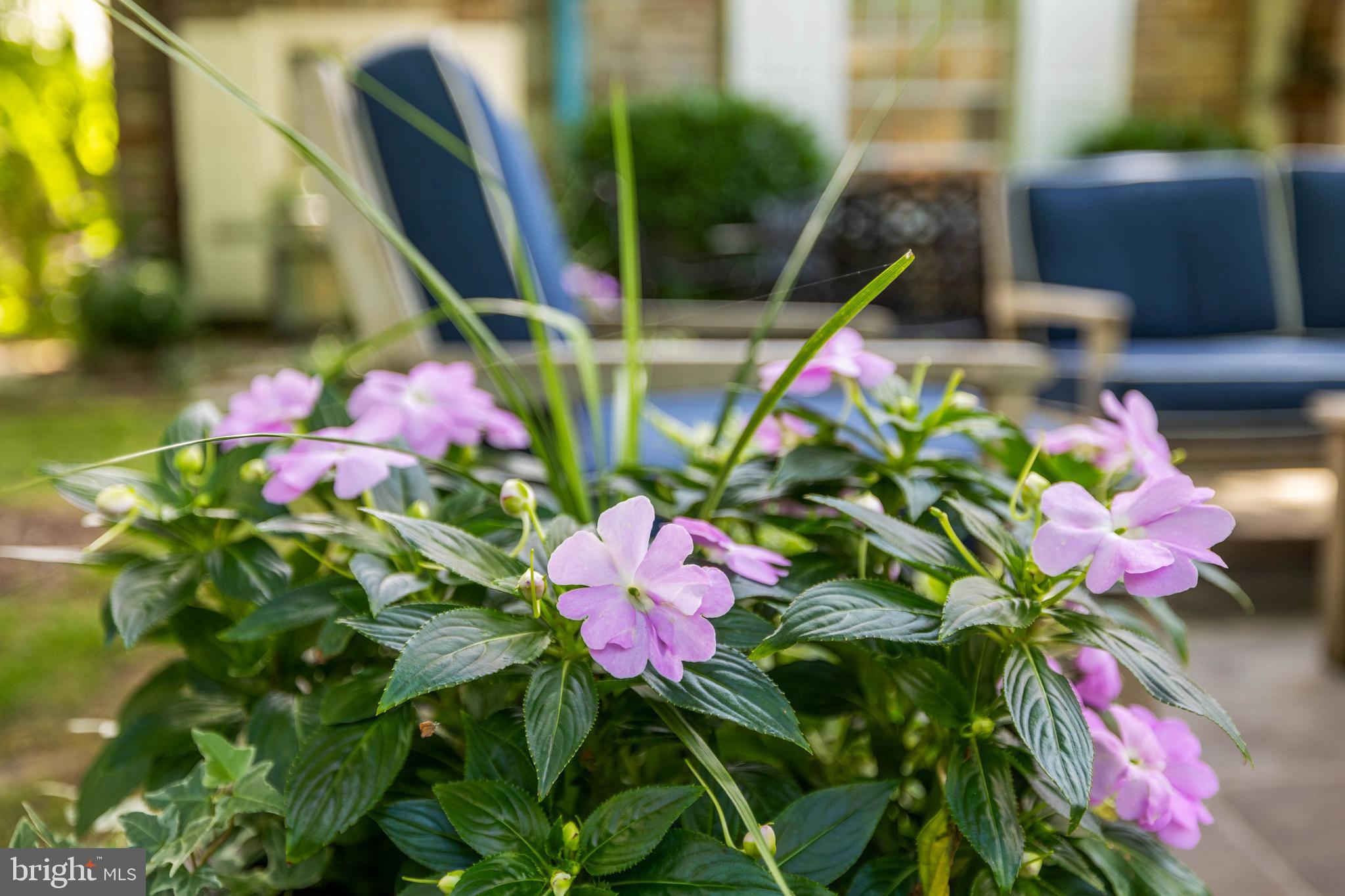 GUILFORD - Residential