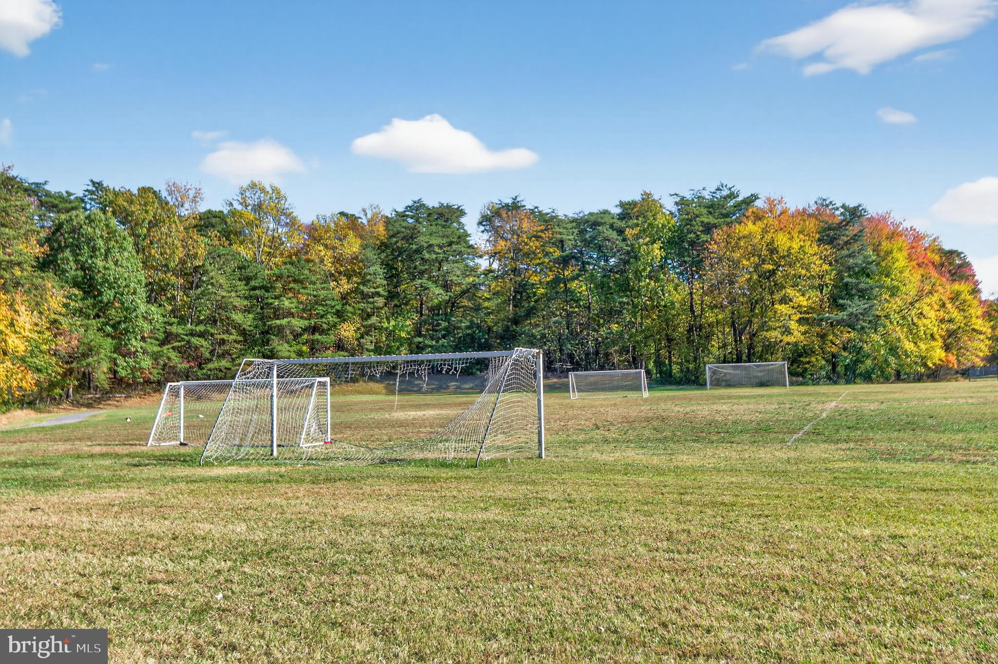 CHAMPION FOREST - Residential