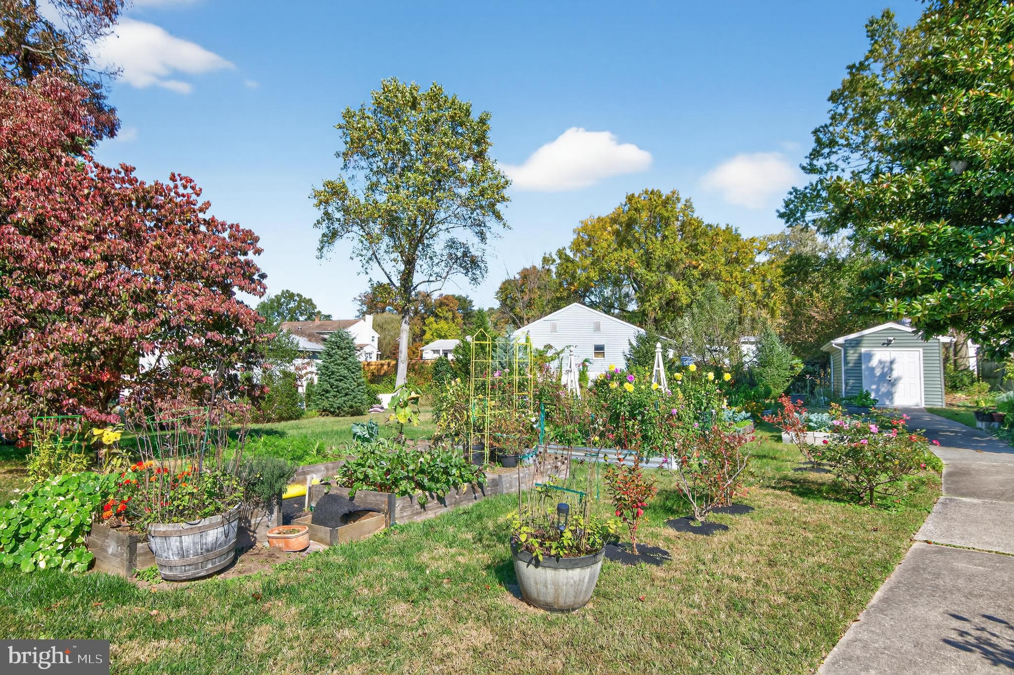 CHAMPION FOREST - Residential