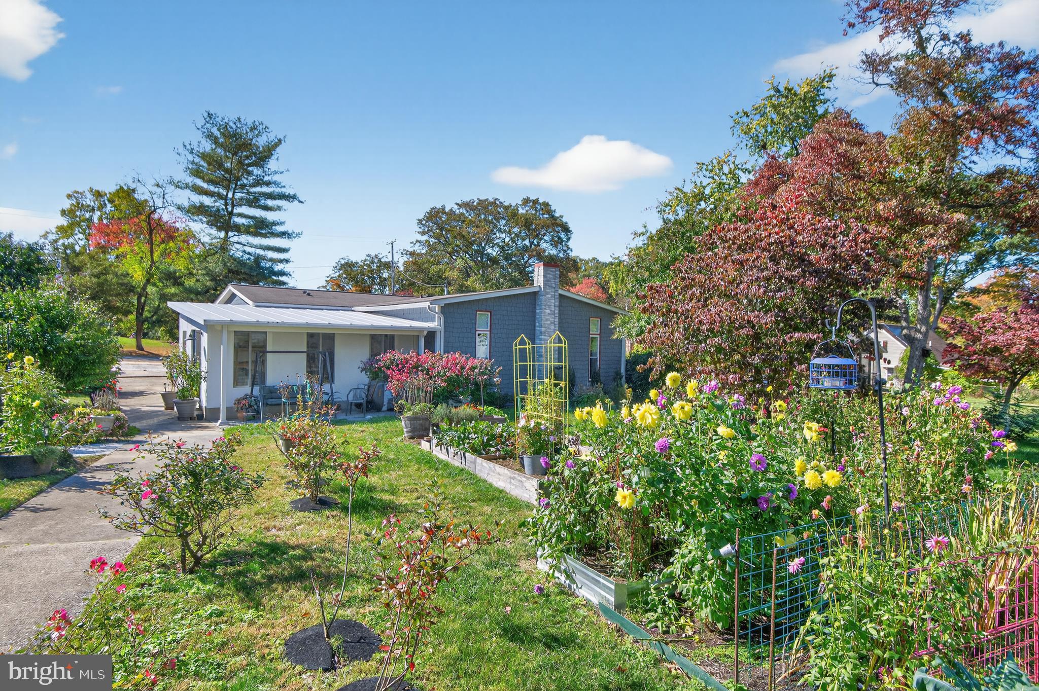 CHAMPION FOREST - Residential