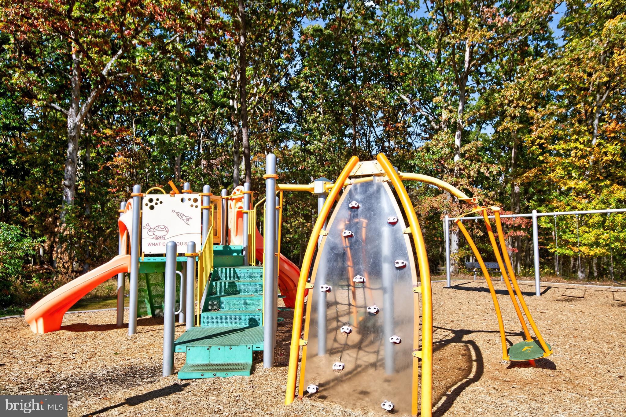 CHAMPION FOREST - Residential