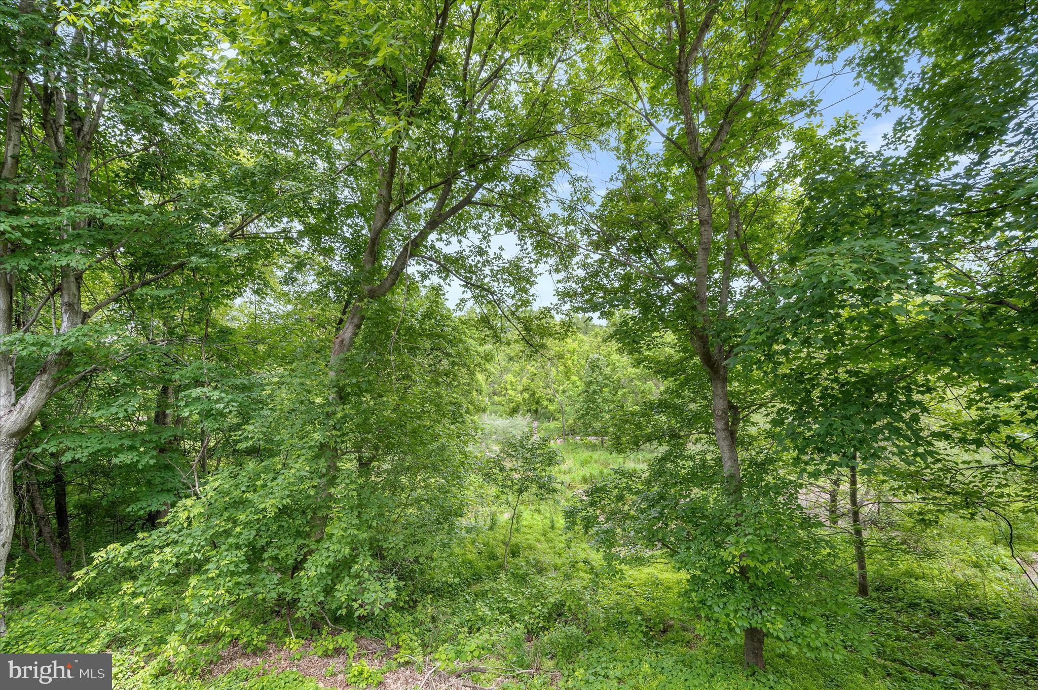 DORSEY HALL - Residential