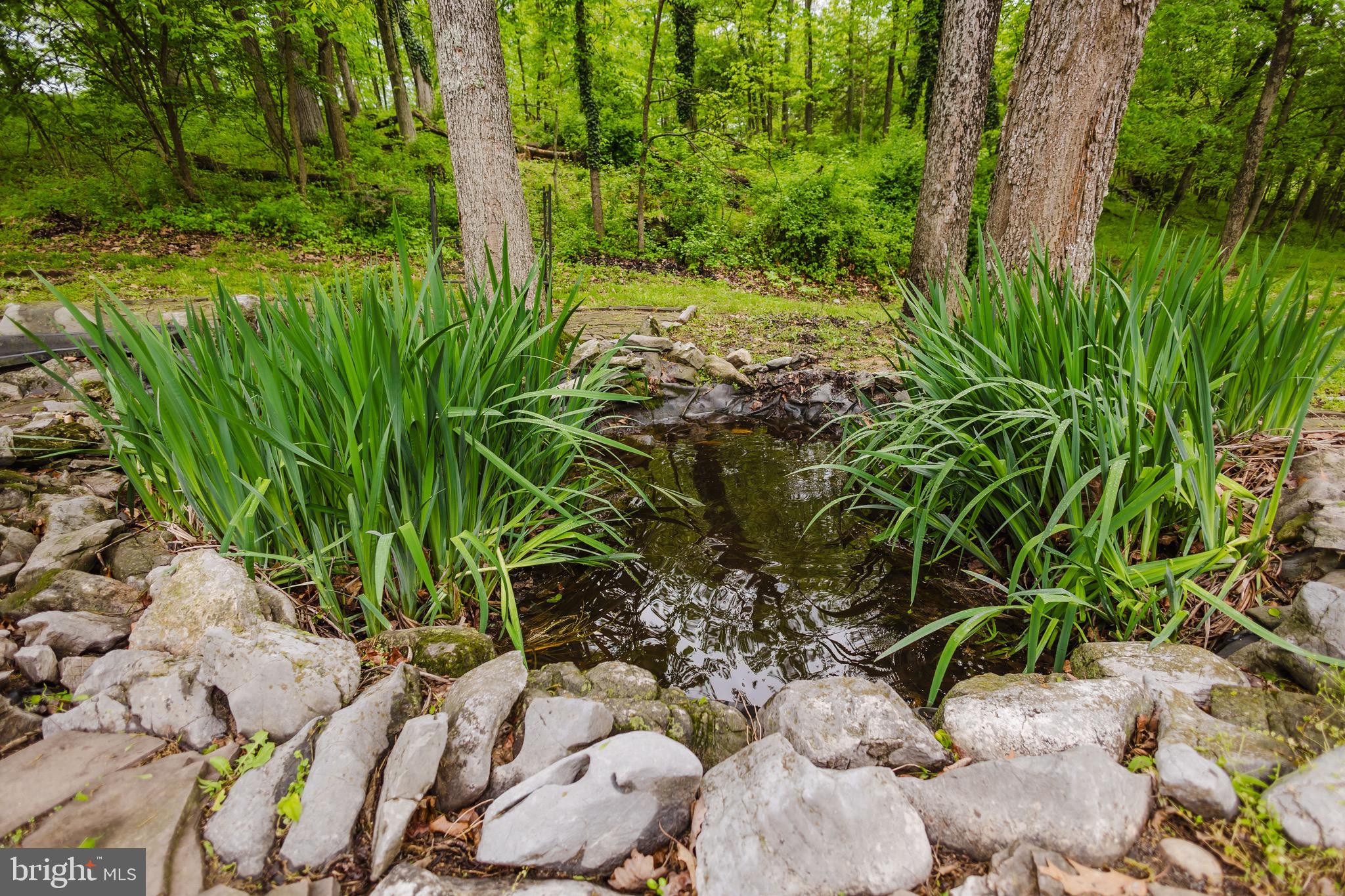 WHITE OAKS - Residential