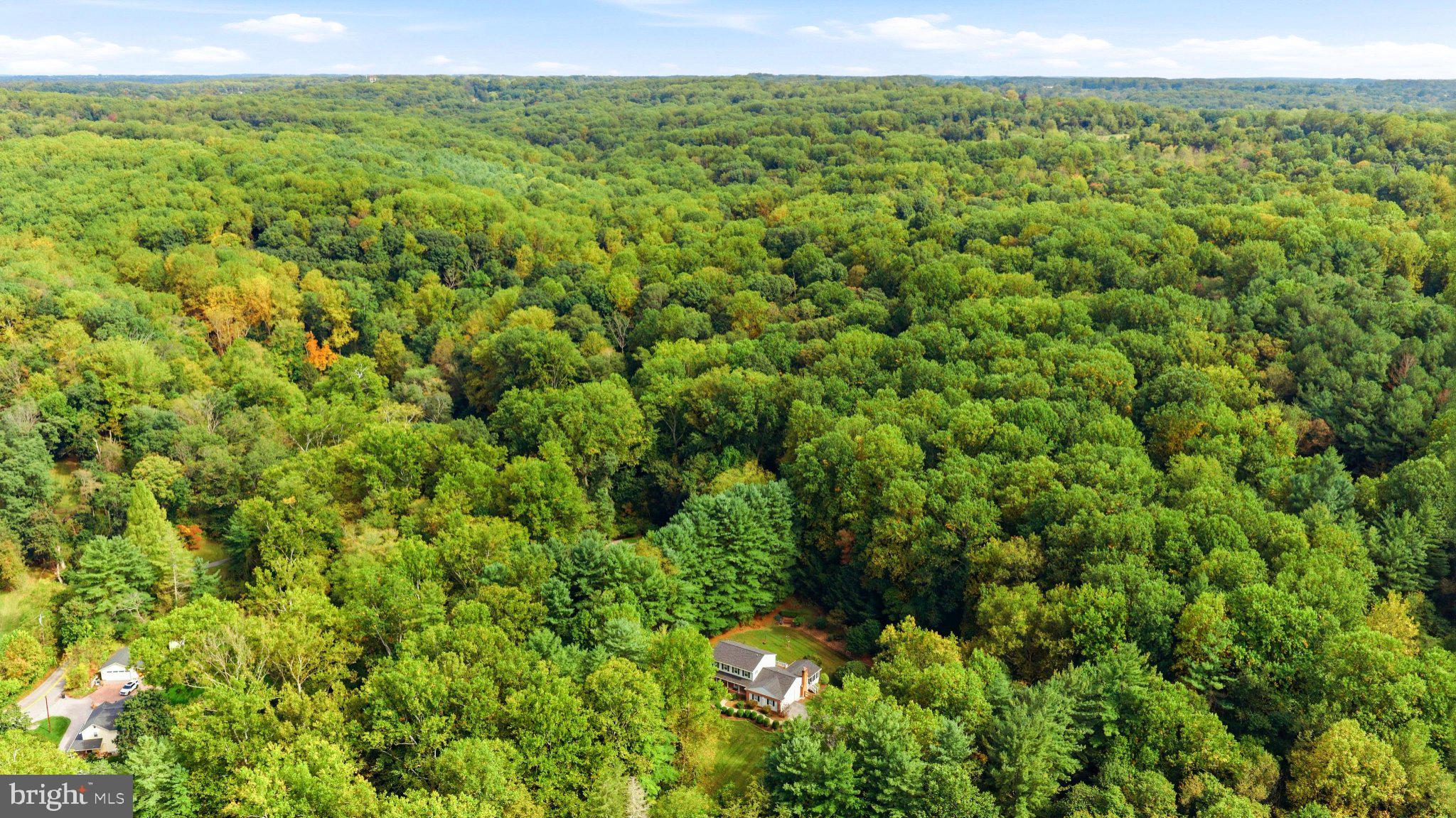 2523 PAPER MILL ROAD