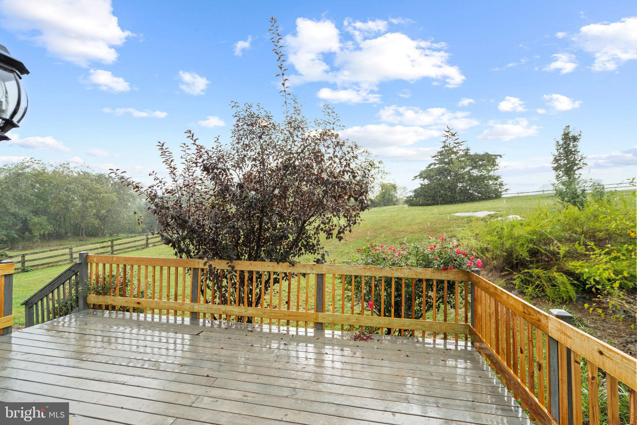 CHIMNEY HILL ESTATES - Residential