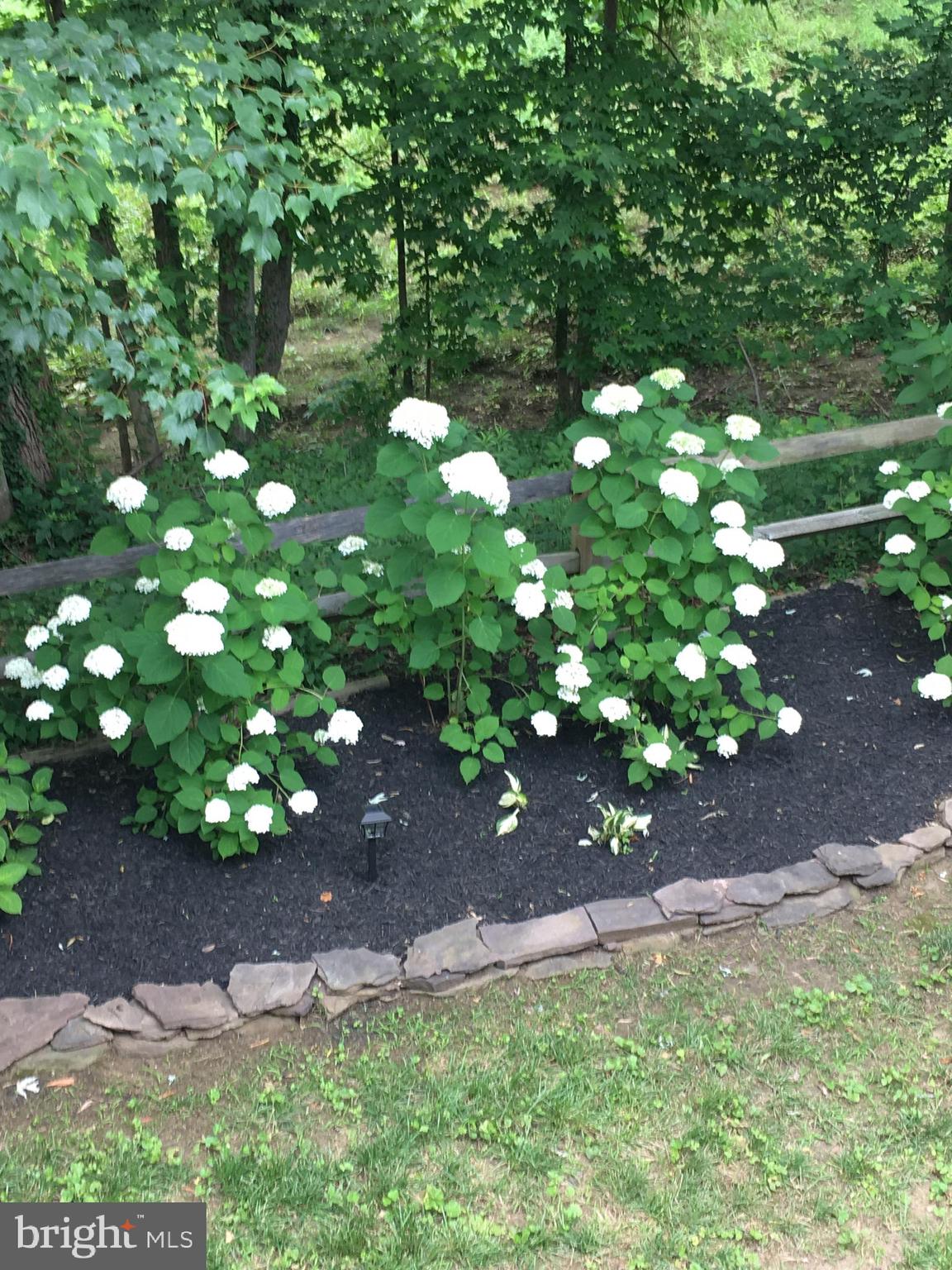 AMBRIDGE - Residential