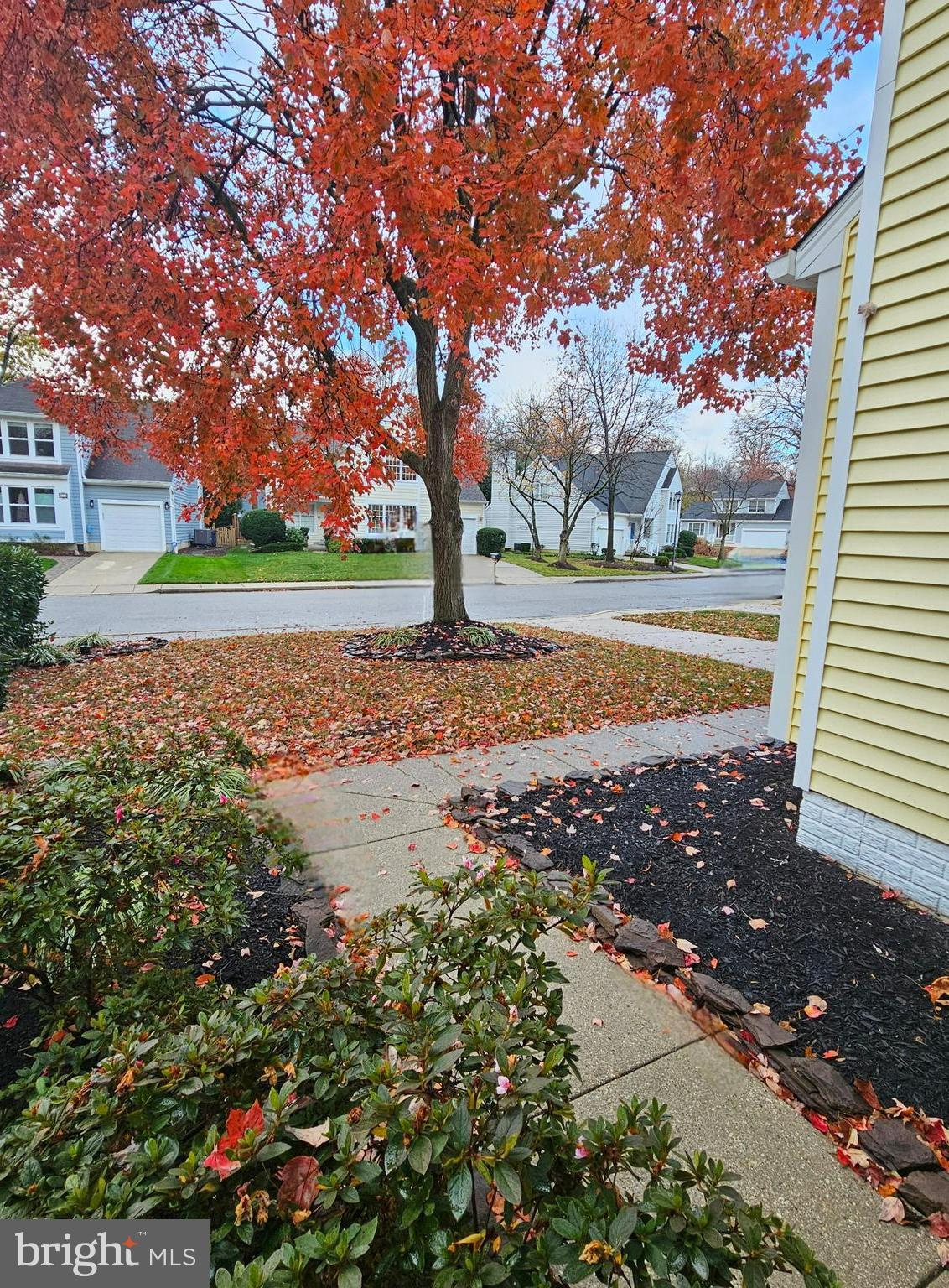 AMBRIDGE - Residential