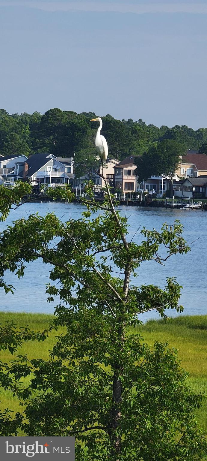 OCEAN PINES - THE POINT - Residential
