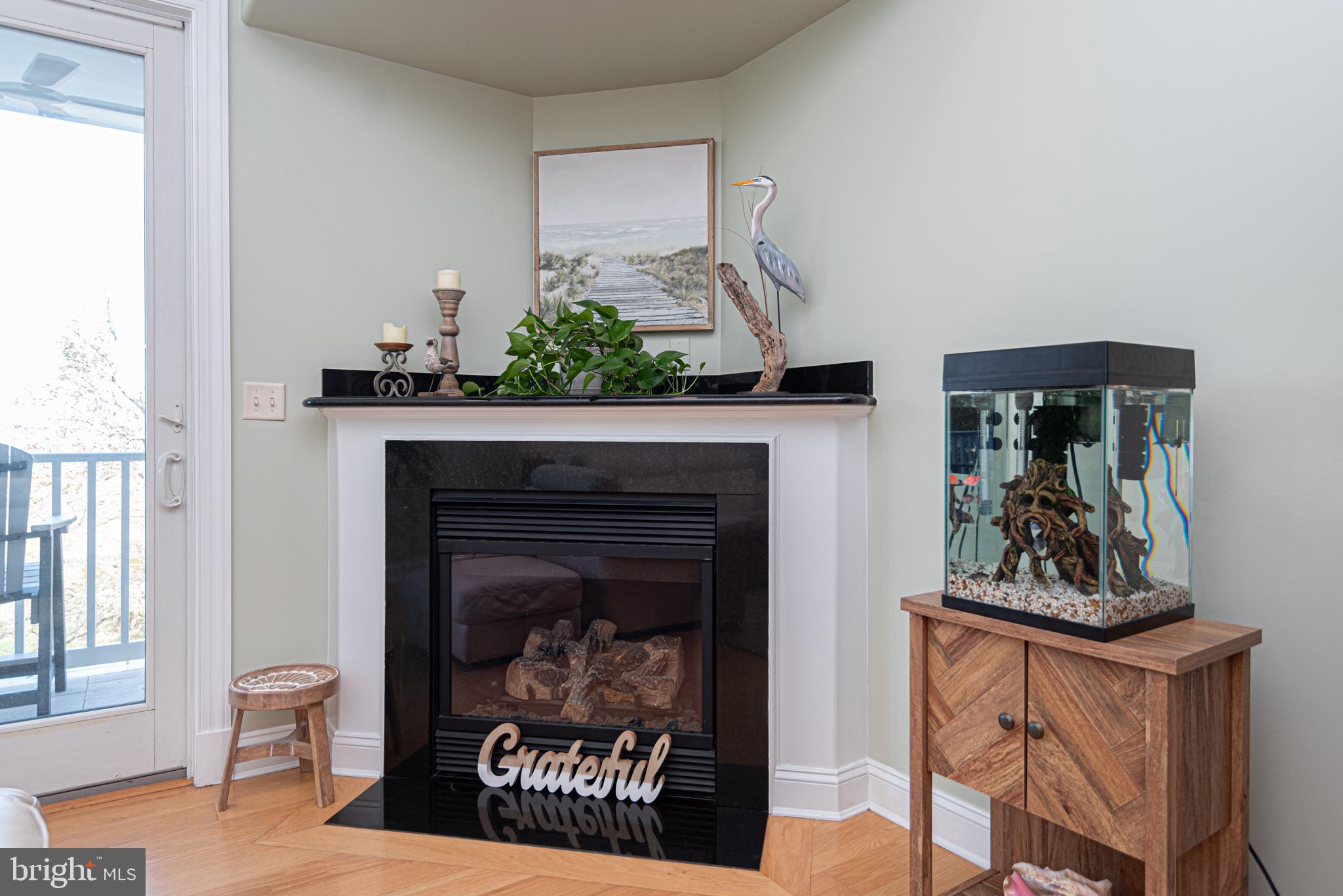 OCEAN PINES - THE POINT - Residential