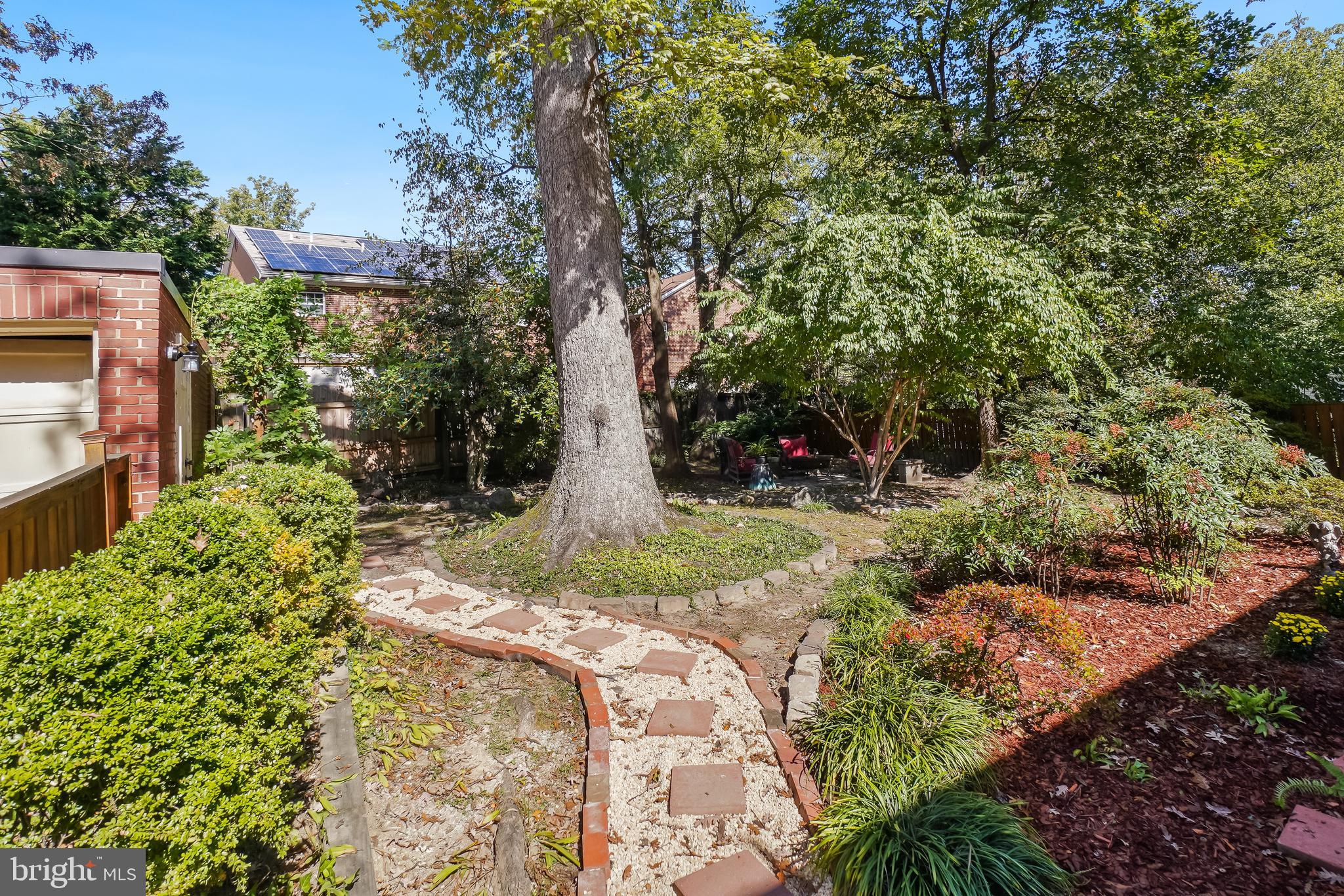 TAKOMA PARK - Residential