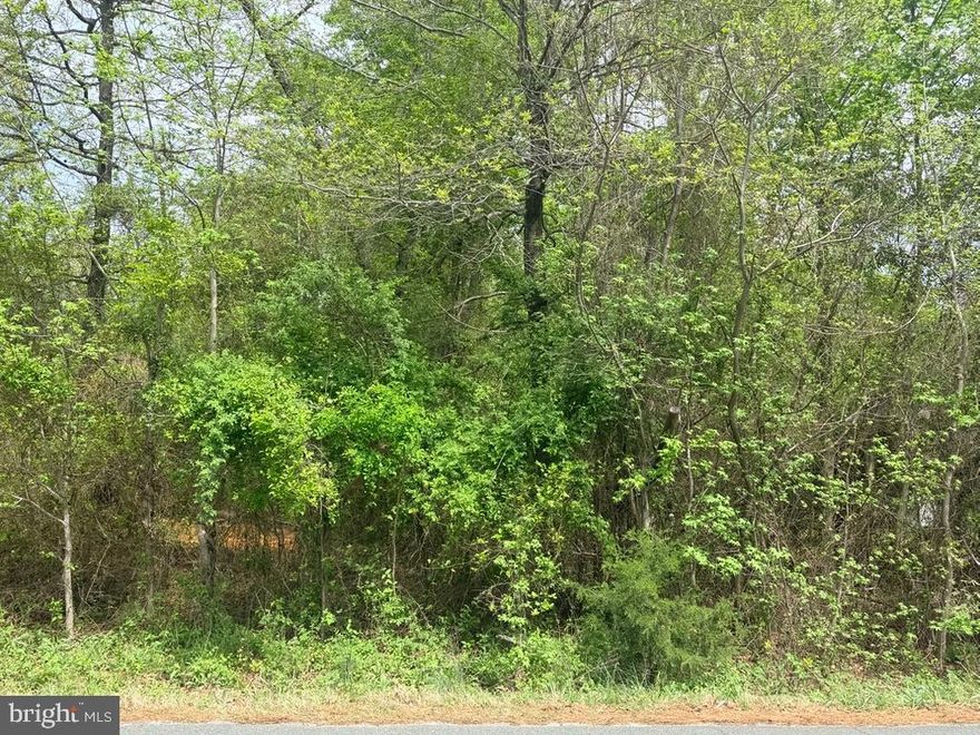 Perfect opportunity to build on this stunning 0.36-acre land located in Chesapeake Ranch Estates which has a gentle slope making it ideal for a walk-out basement. The community offers 3 beaches located on the Chesapeake Bay and lakes, nature trails, camp grounds, community gardens and an airport. Lot has been surveyed and has had a perc test completed on 3 sites to make it easier for the ideal placement of your new home - waiting on final review from the county which should be very soon. Conveniently located within commuting distance to Patuxent Naval Base.