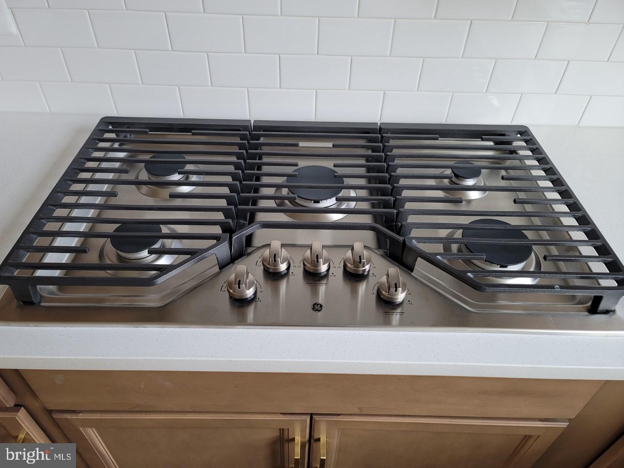 LAKE FREDERICK - Residential Lease